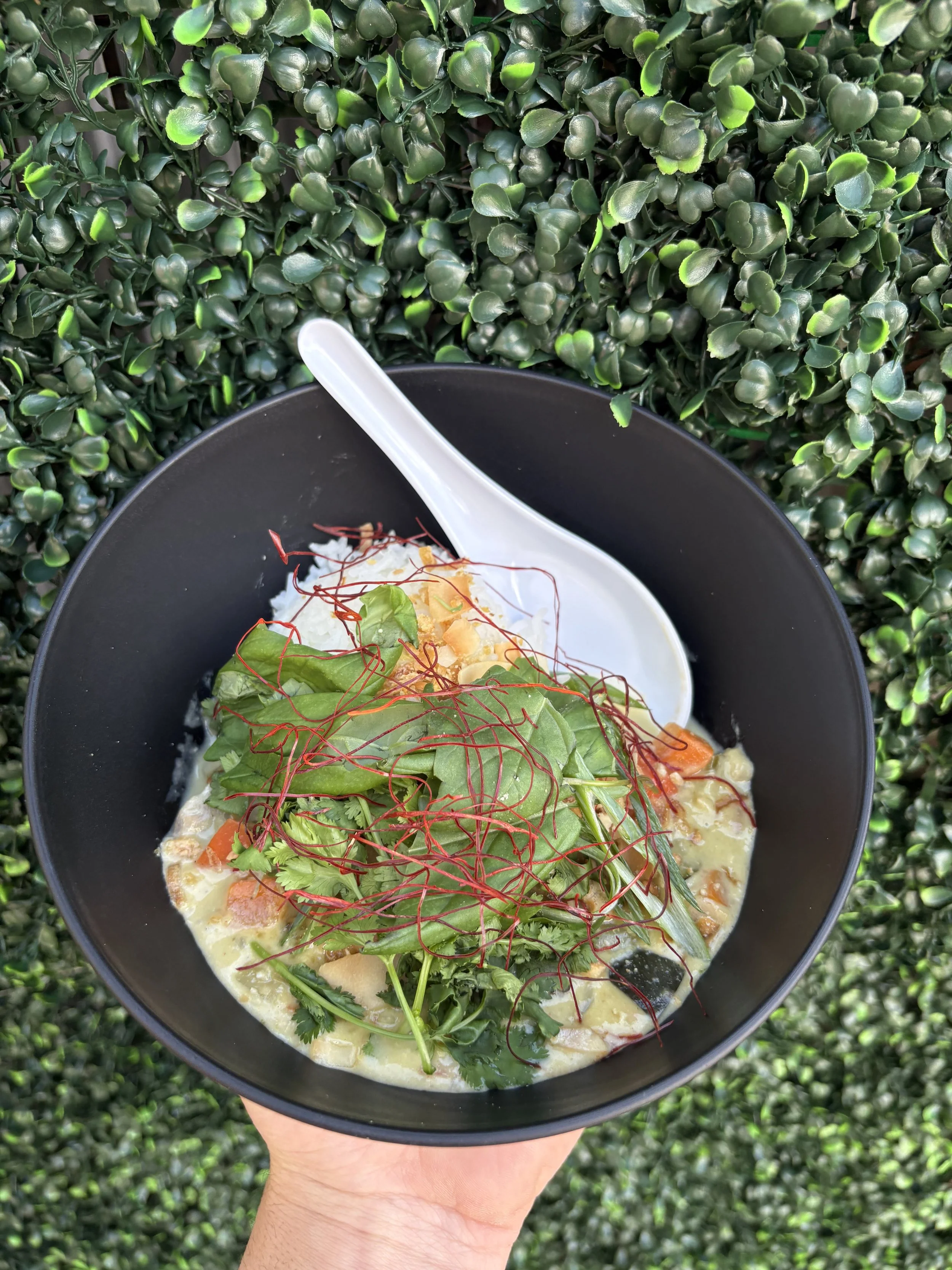 A hand holding a black bowl of soup garnished with various greens and red threads, with a background of green leafy bushes.