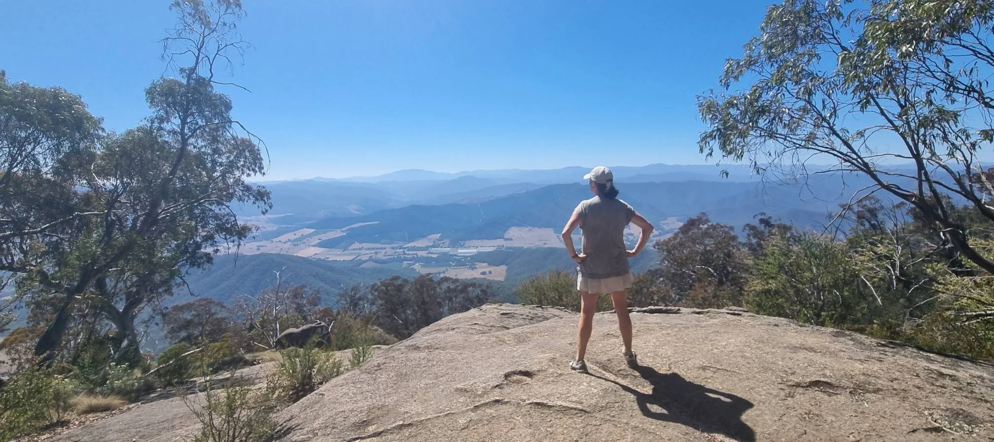A person standing on a rocky outcrop at a mountain viewpoint, looking at distant mountain ranges and valleys under a clear blue sky, surrounded by trees.