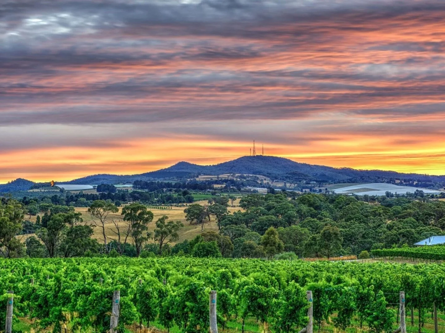 Orange Mount Canobolas.jpg