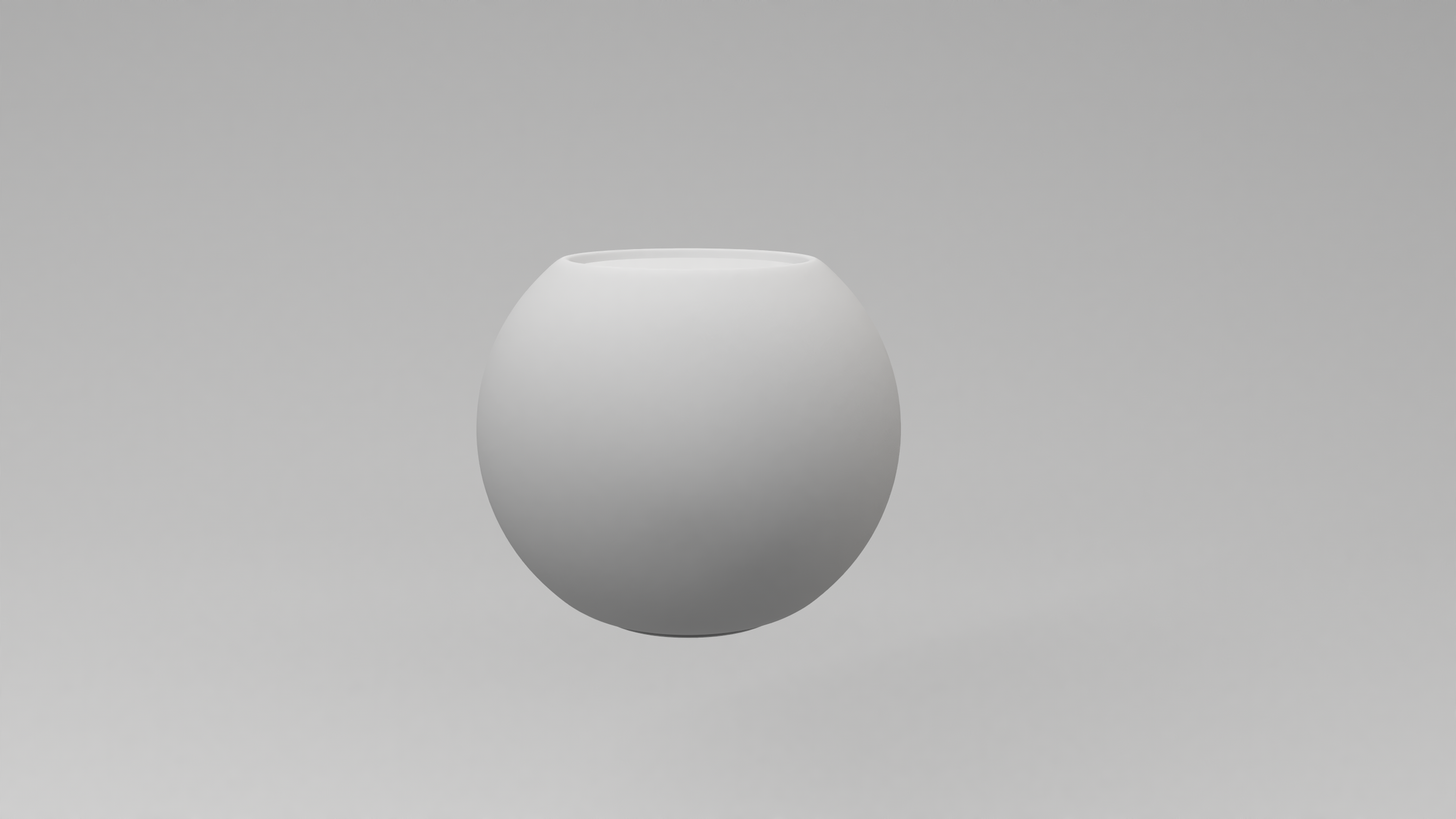 Home Mini
