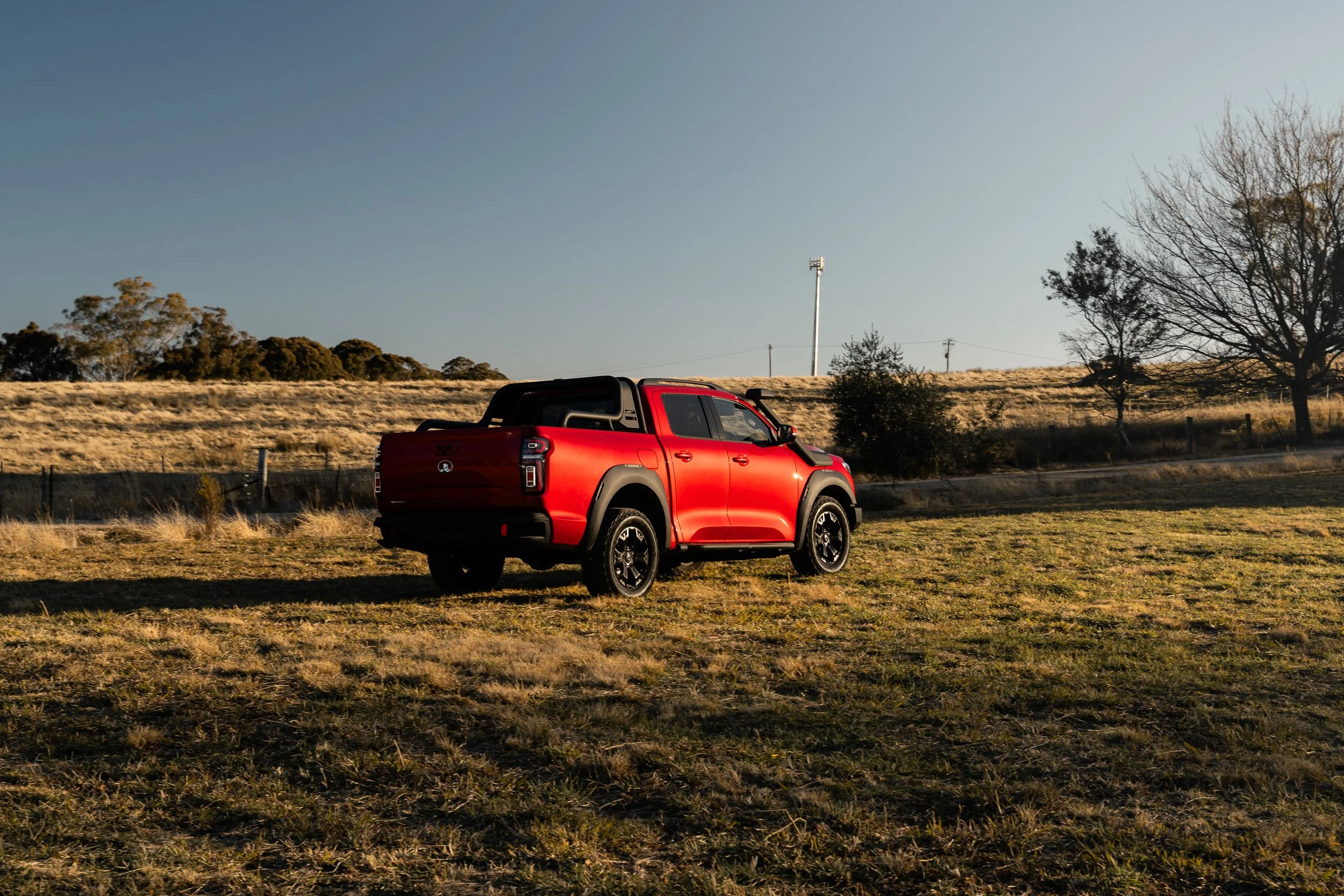 A red pickup truck parked in a grassy field with a few trees and utility poles in the background under a clear sky.