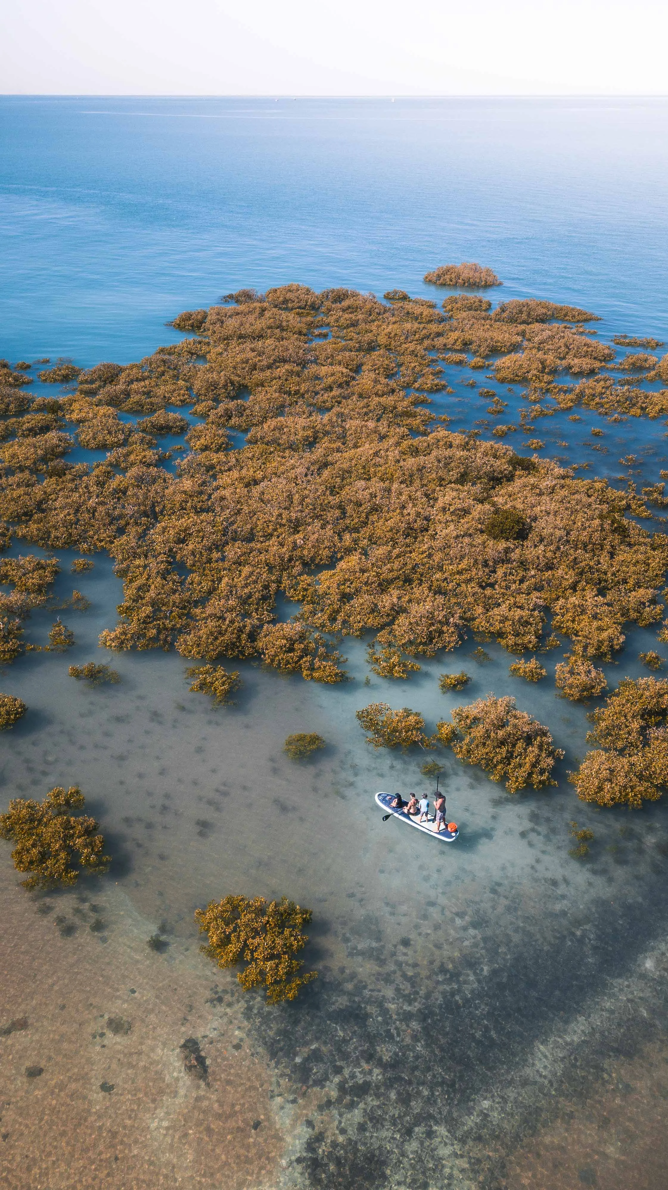 DJI_0139.jpg