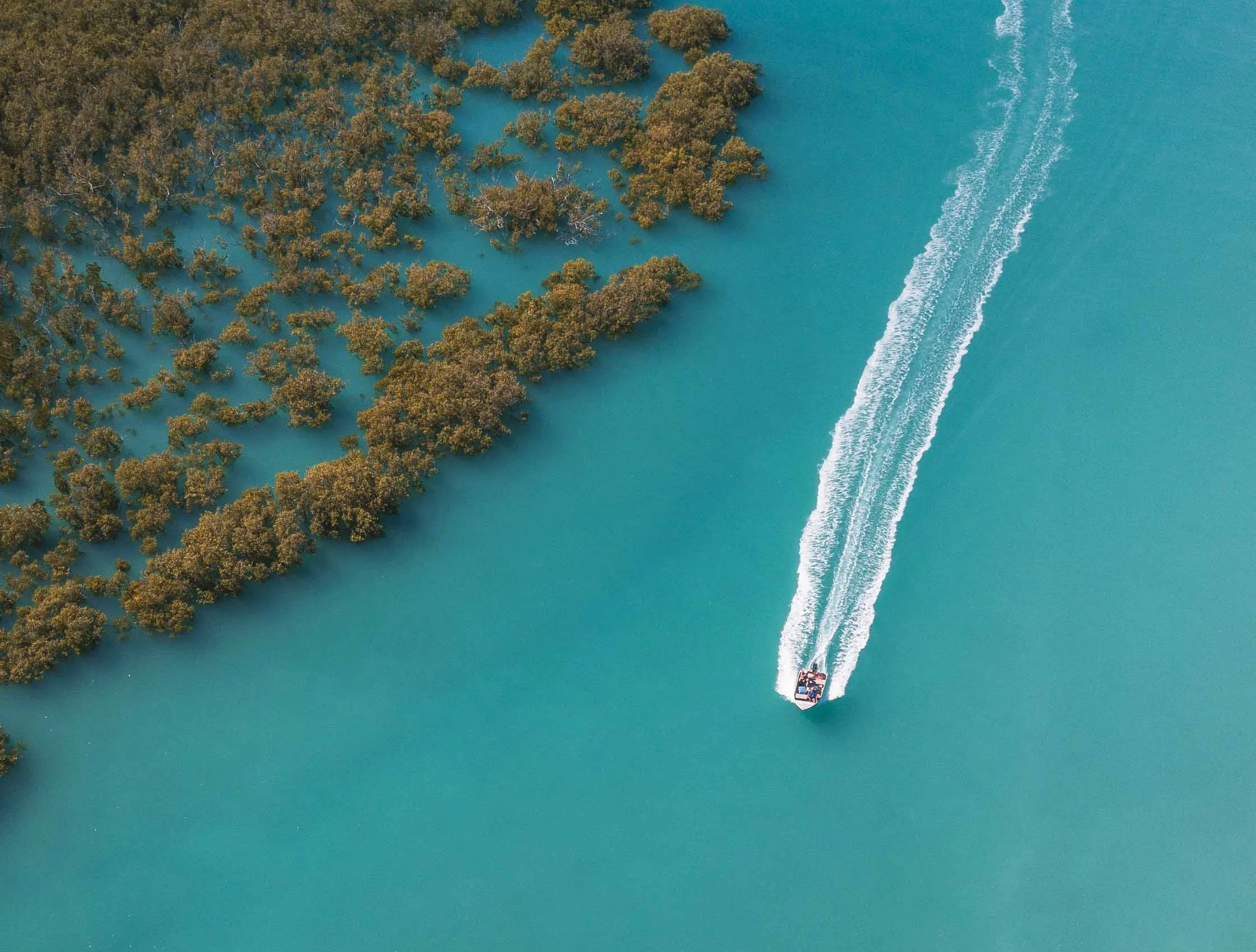 DJI_0152.jpg