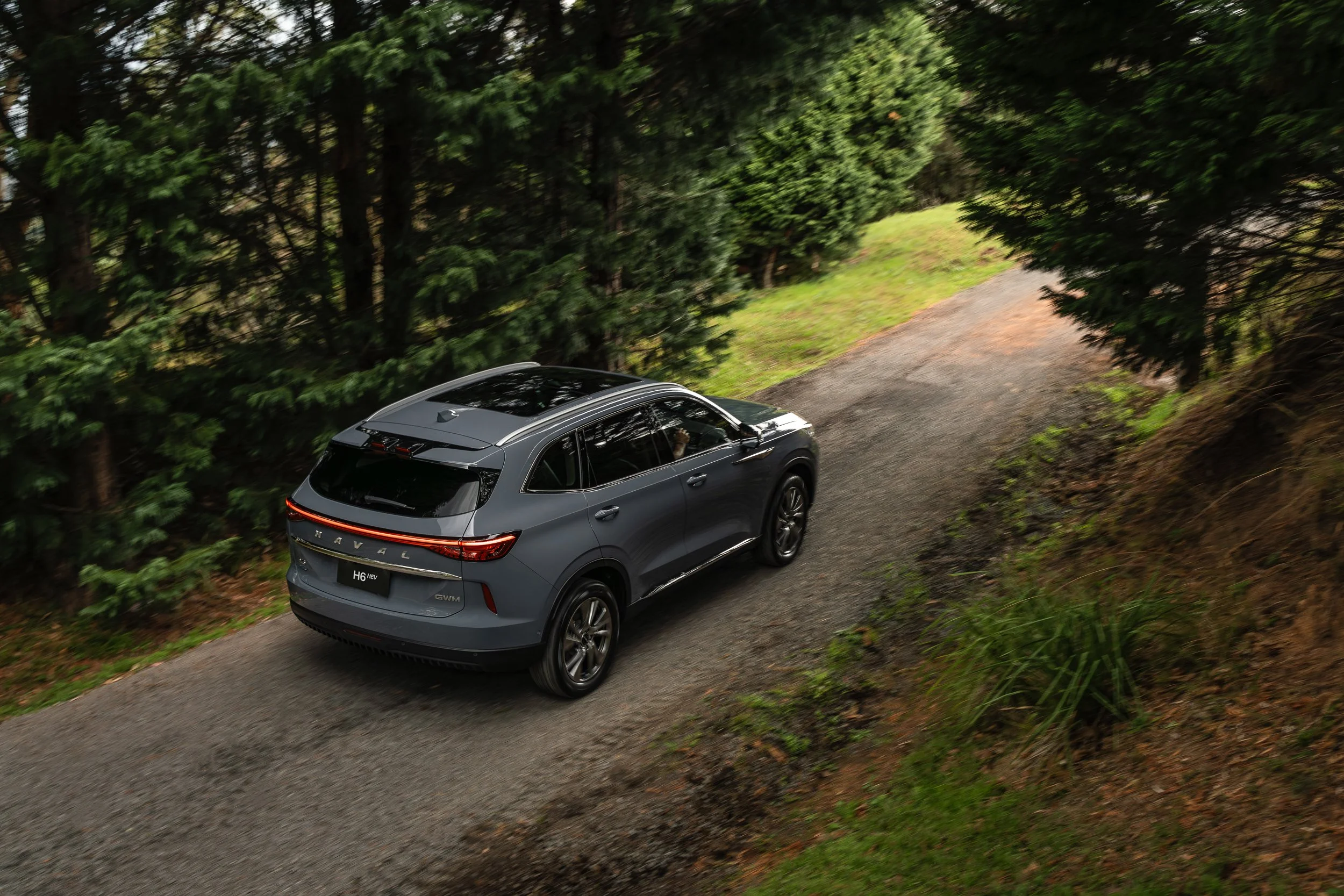 A gray SUV driving along a narrow, winding road through a lush green forest with tall trees on both sides.
