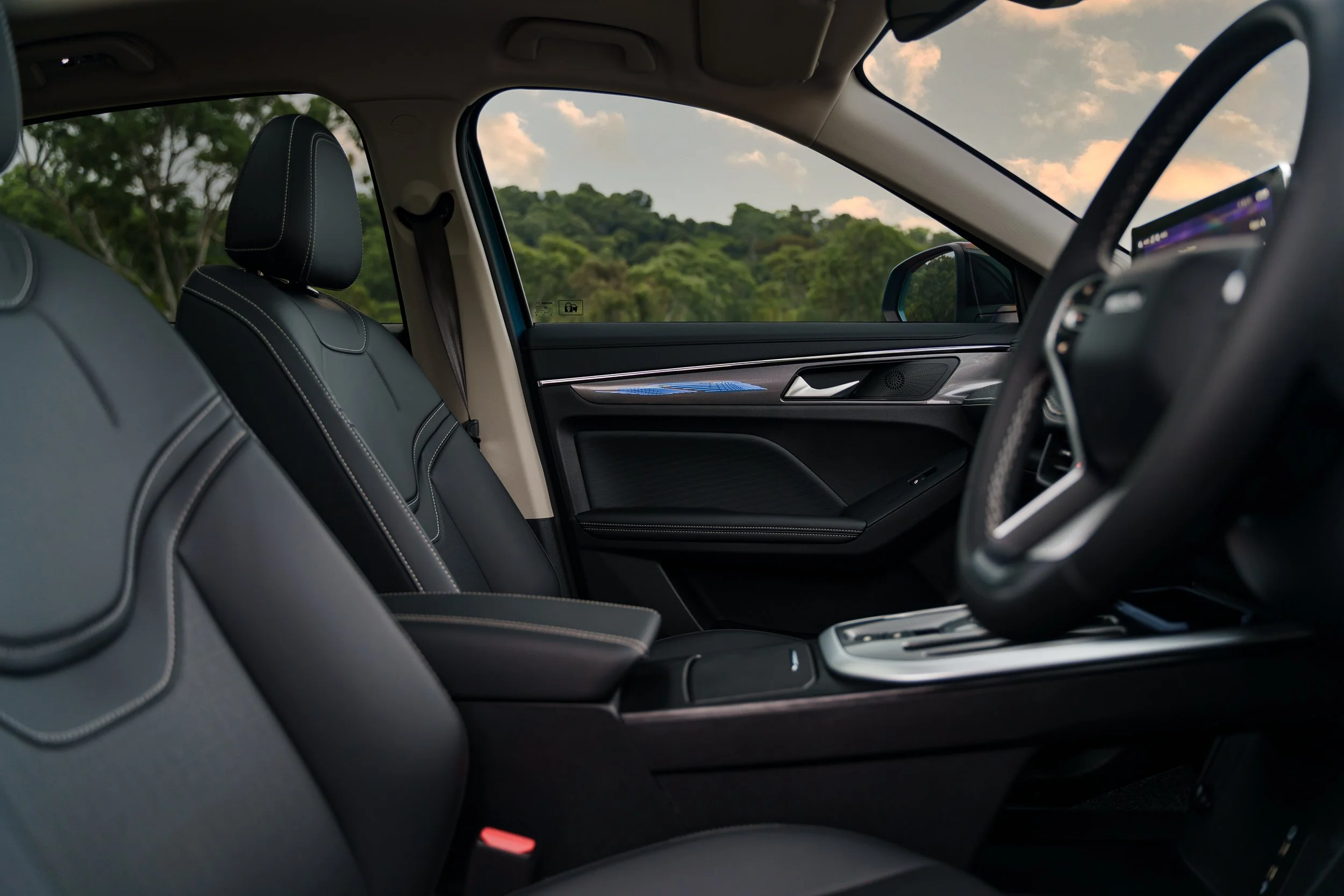 Interior view of a car with black leather seats and a landscape visible through the windows, showing green trees and a partly cloudy sky.