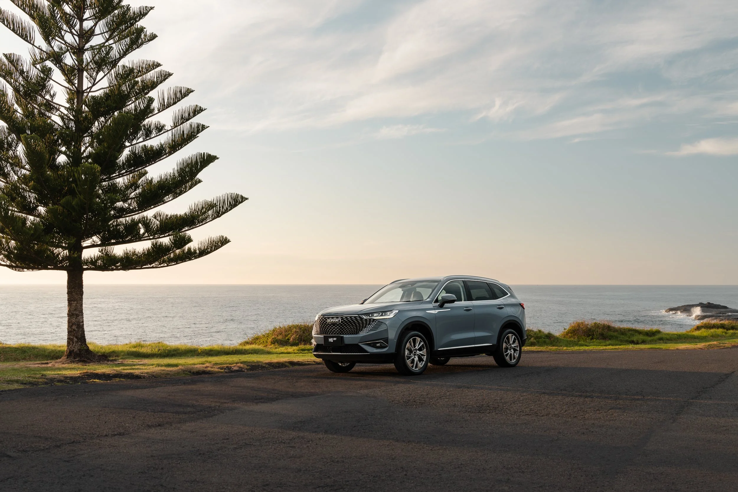 A silver SUV parked on a road near the coast with a large pine tree to the left and ocean waves in the background, under a partly cloudy sky.