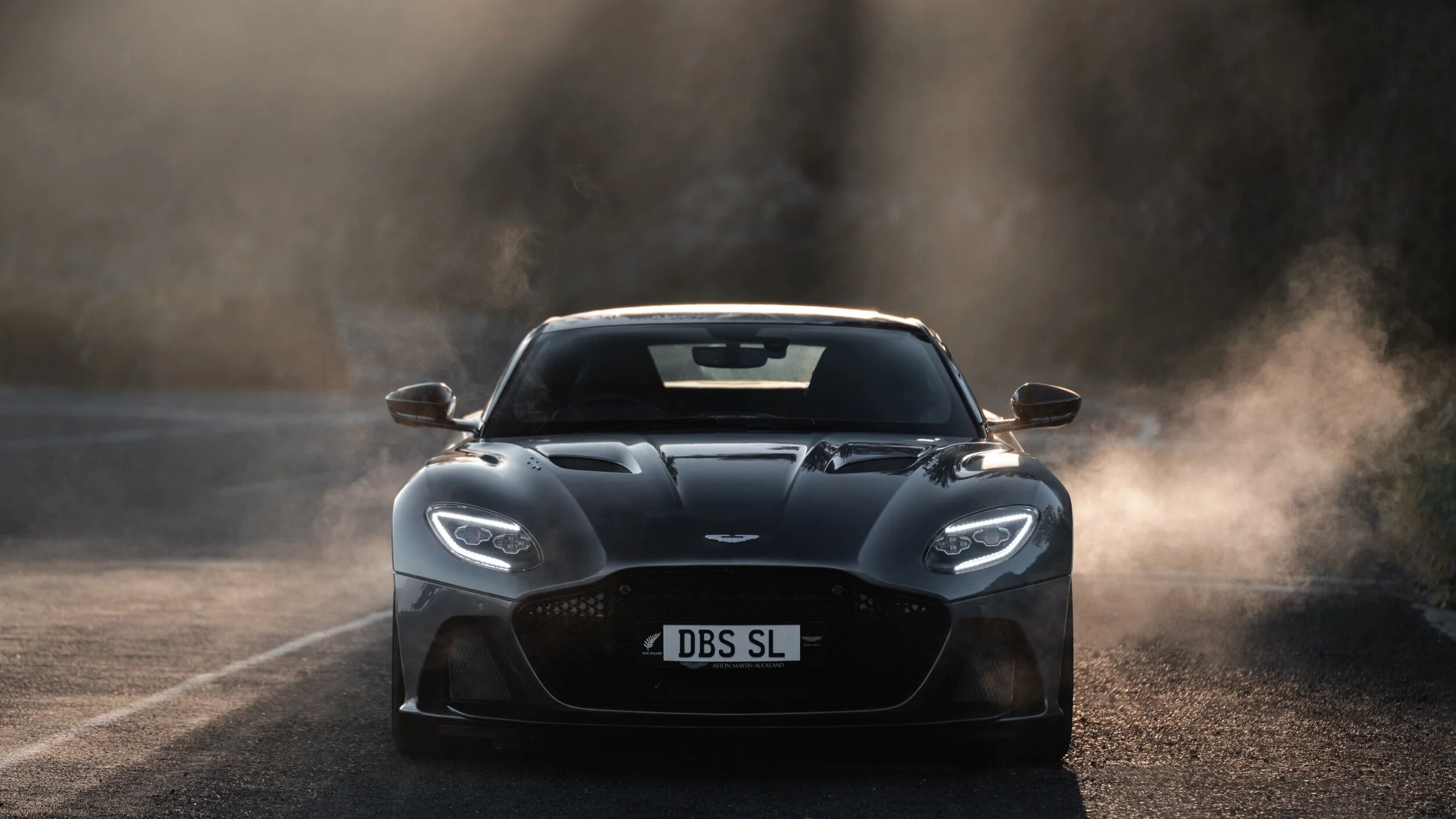 AM+DBS+SL-88.jpg