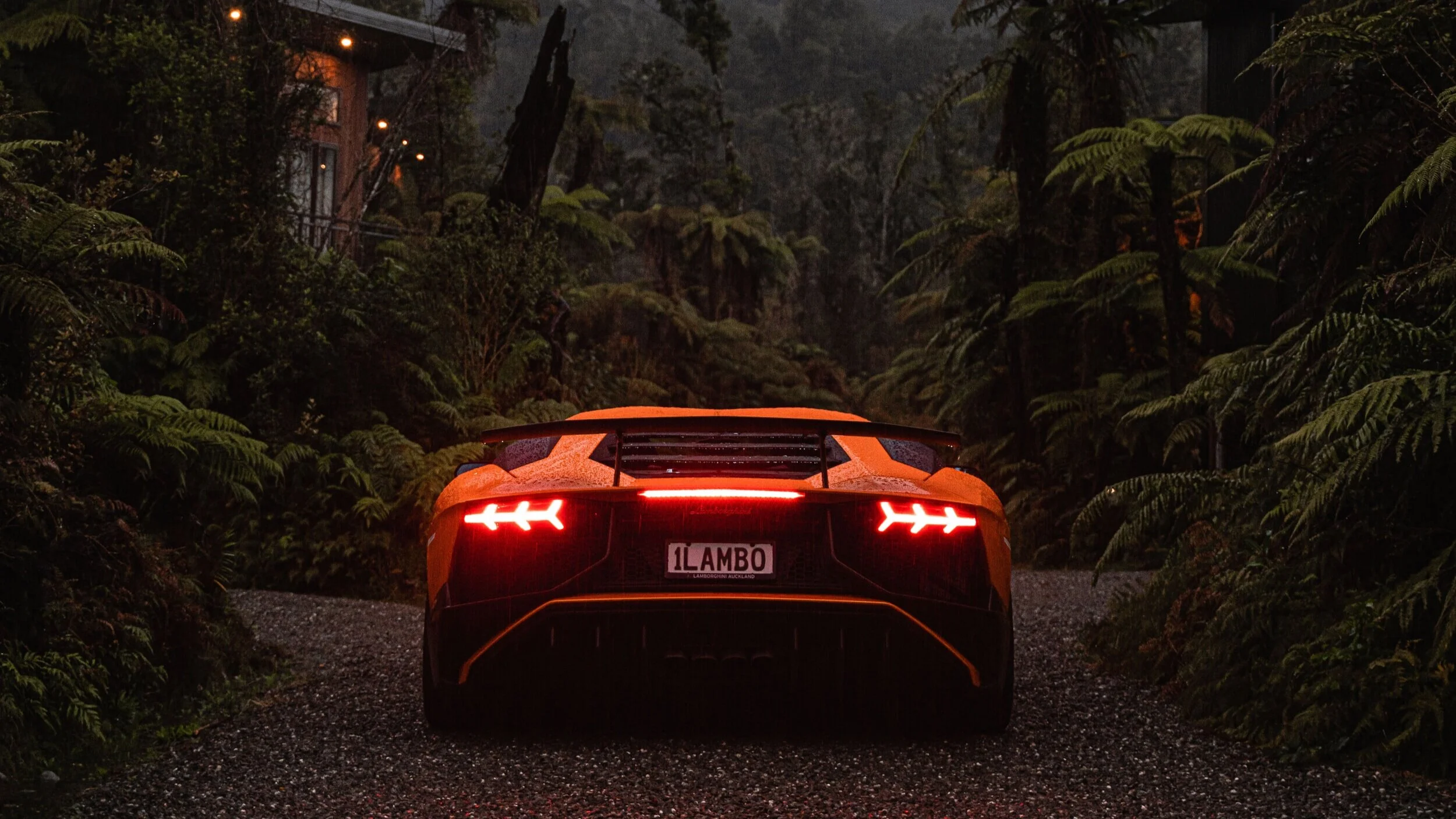 Avid1500+full+res+%2843+of+106%29.jpg