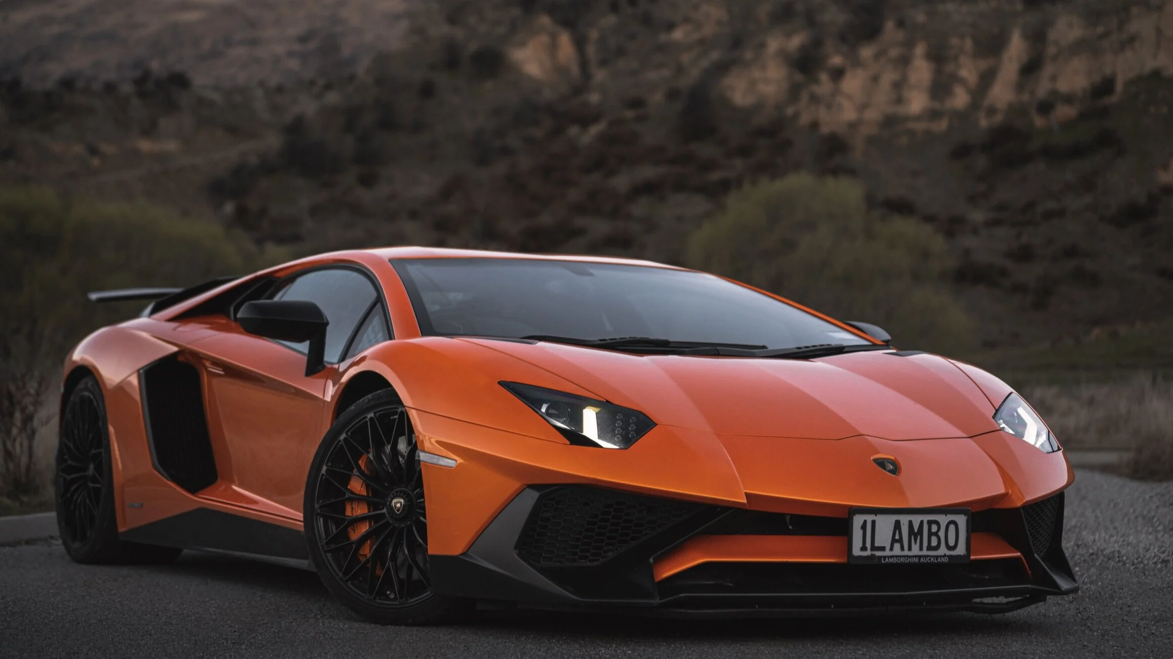 Avid1500+full+res+%28100+of+106%29.jpg