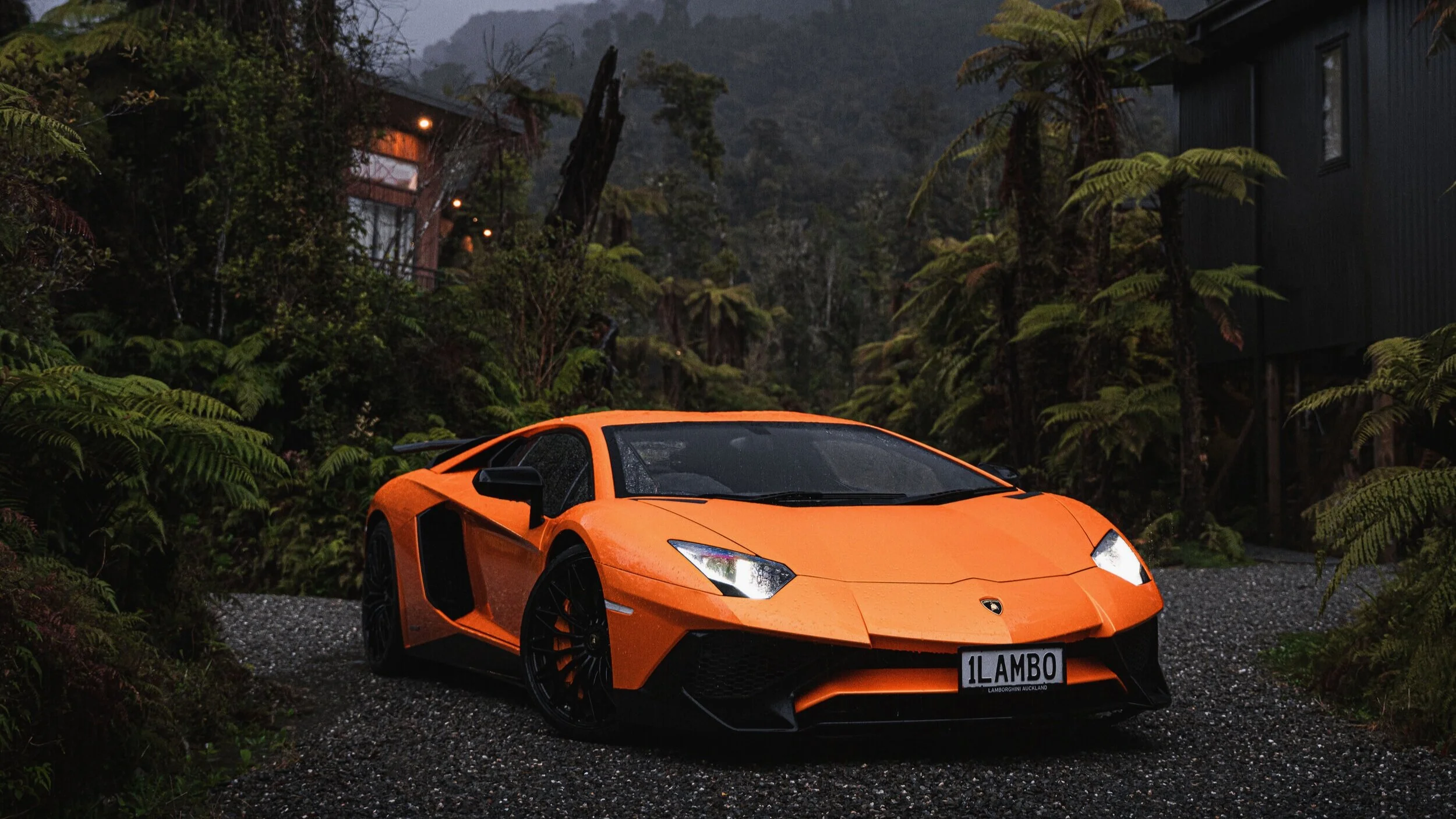 Avid1500+full+res+%2847+of+106%29.jpg