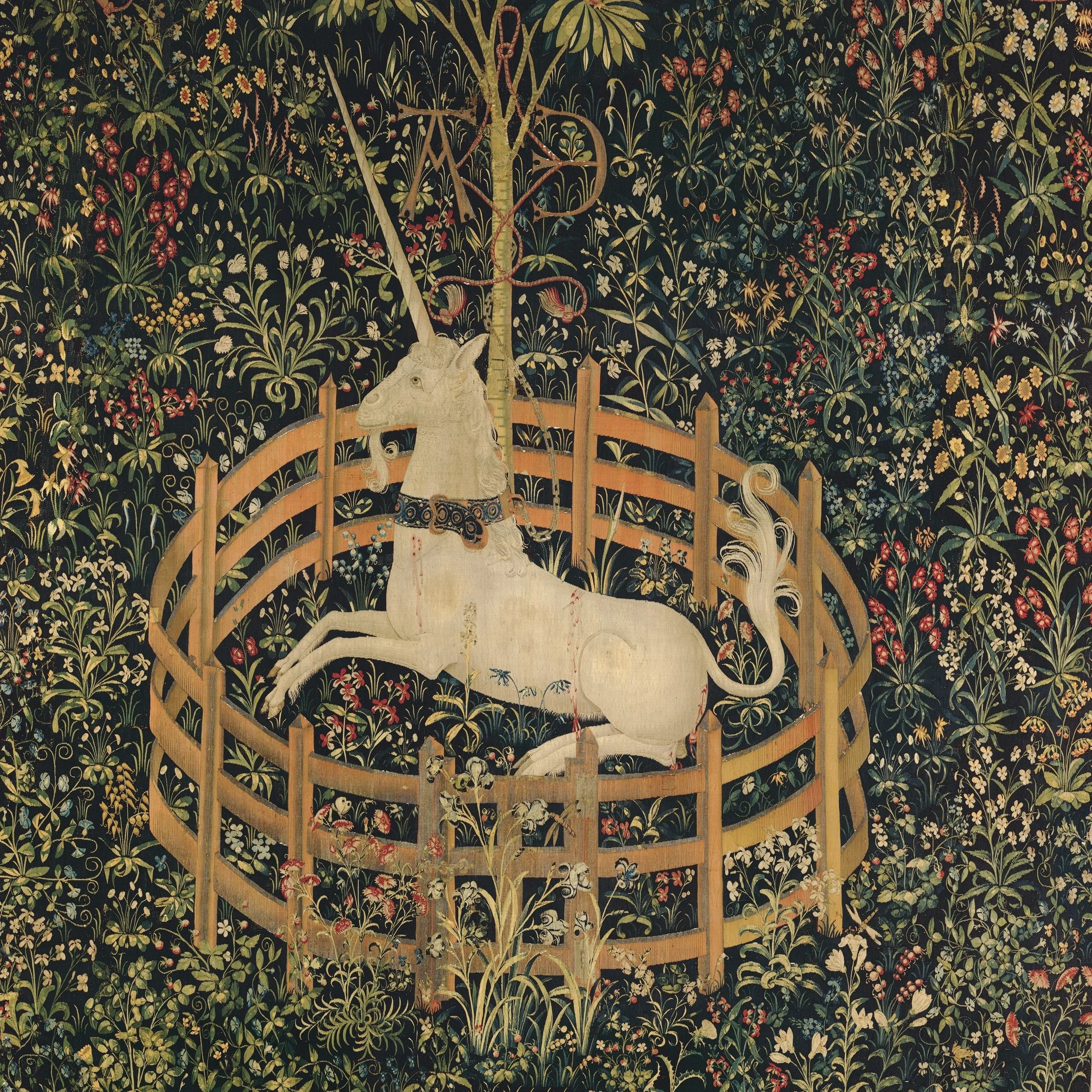 what does a unicorn look like?