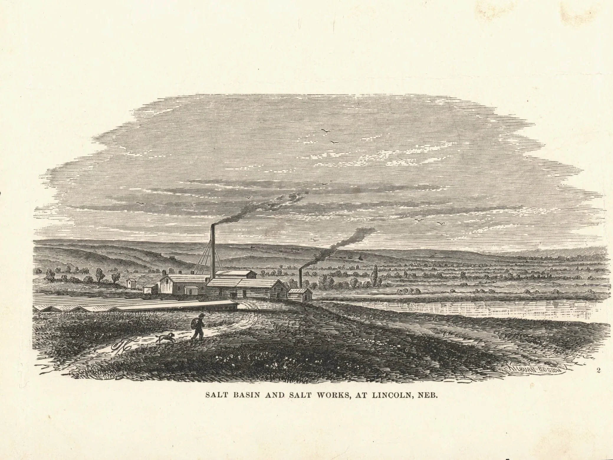 White Gold of the Plains