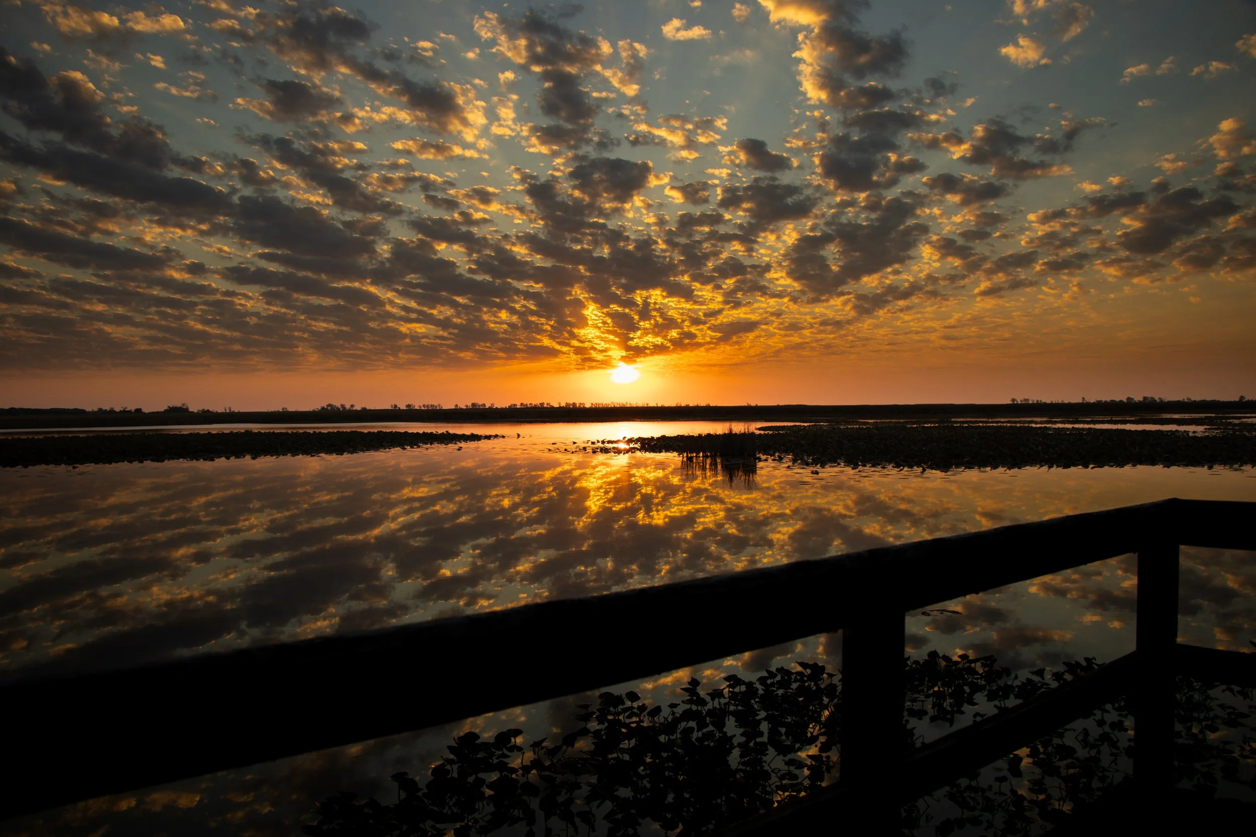 Sunset over a body of water with a partly cloudy sky, trees on the horizon, and reflections of the sunset on the water's surface.