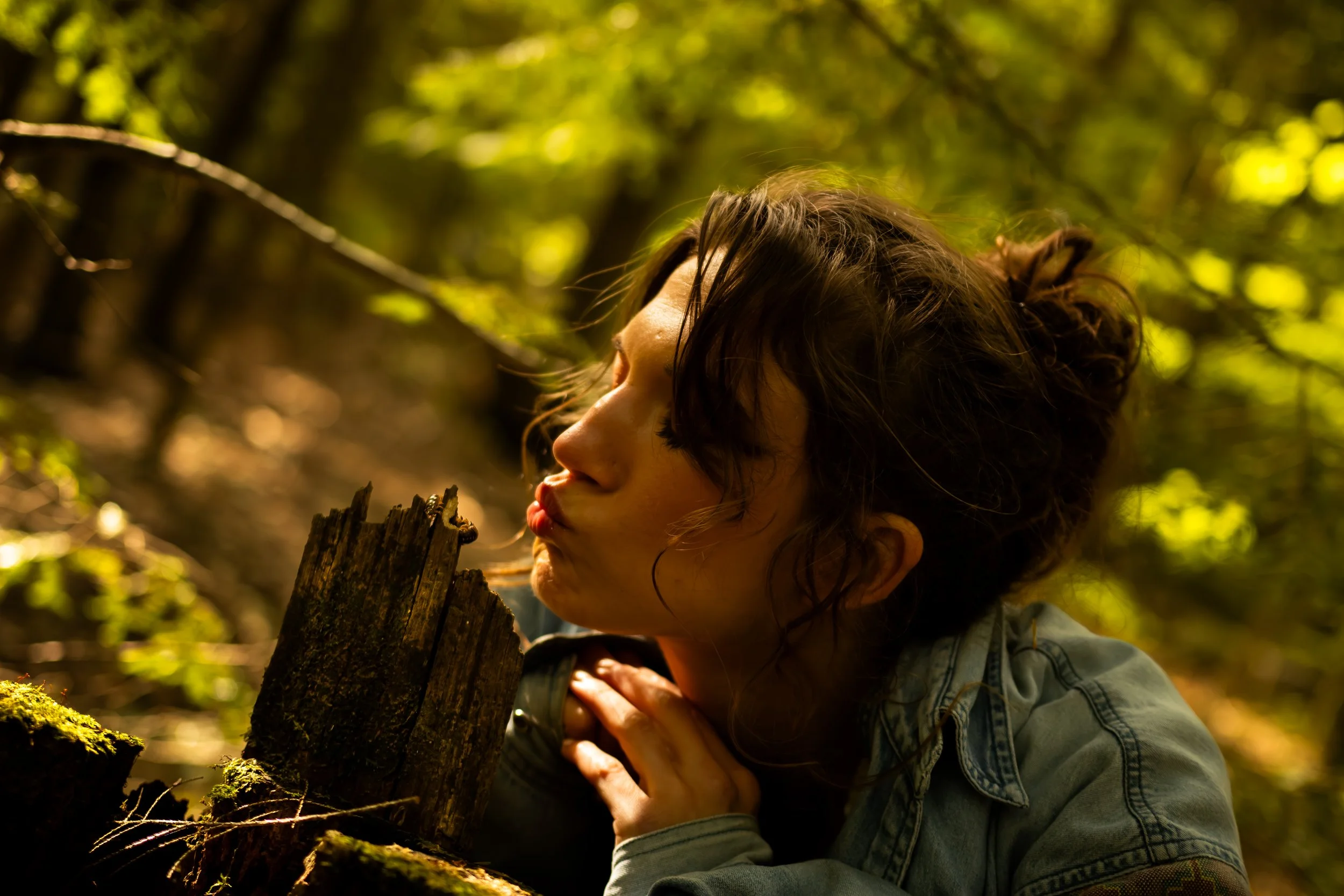 Fine art Toronto portrait session by Dark Art Photos featuring a woman with curly hair leaning over a tree stump in a moody, sunlit forest