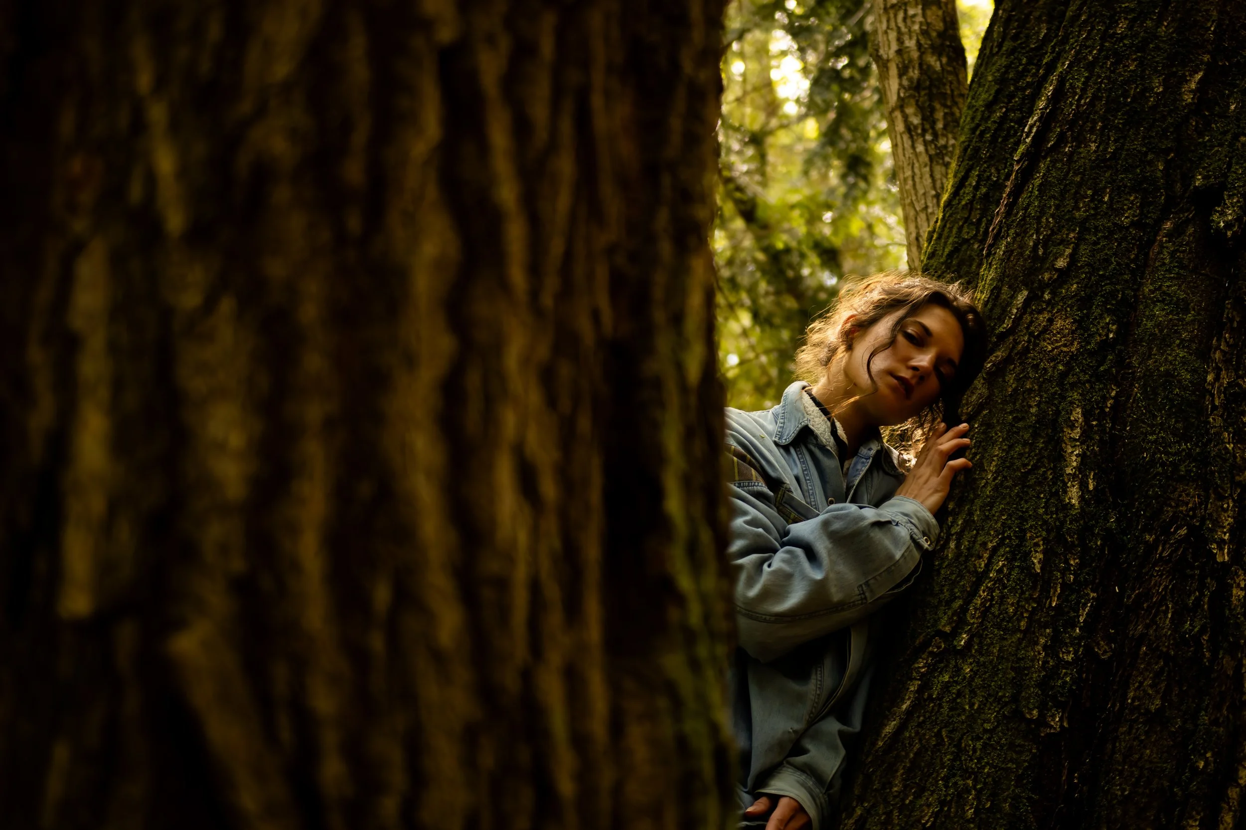 Fine art Toronto portrait session by Dark Art Photos featuring a woman in a denim jacket hugging a large tree in a high-contrast forest setting.
