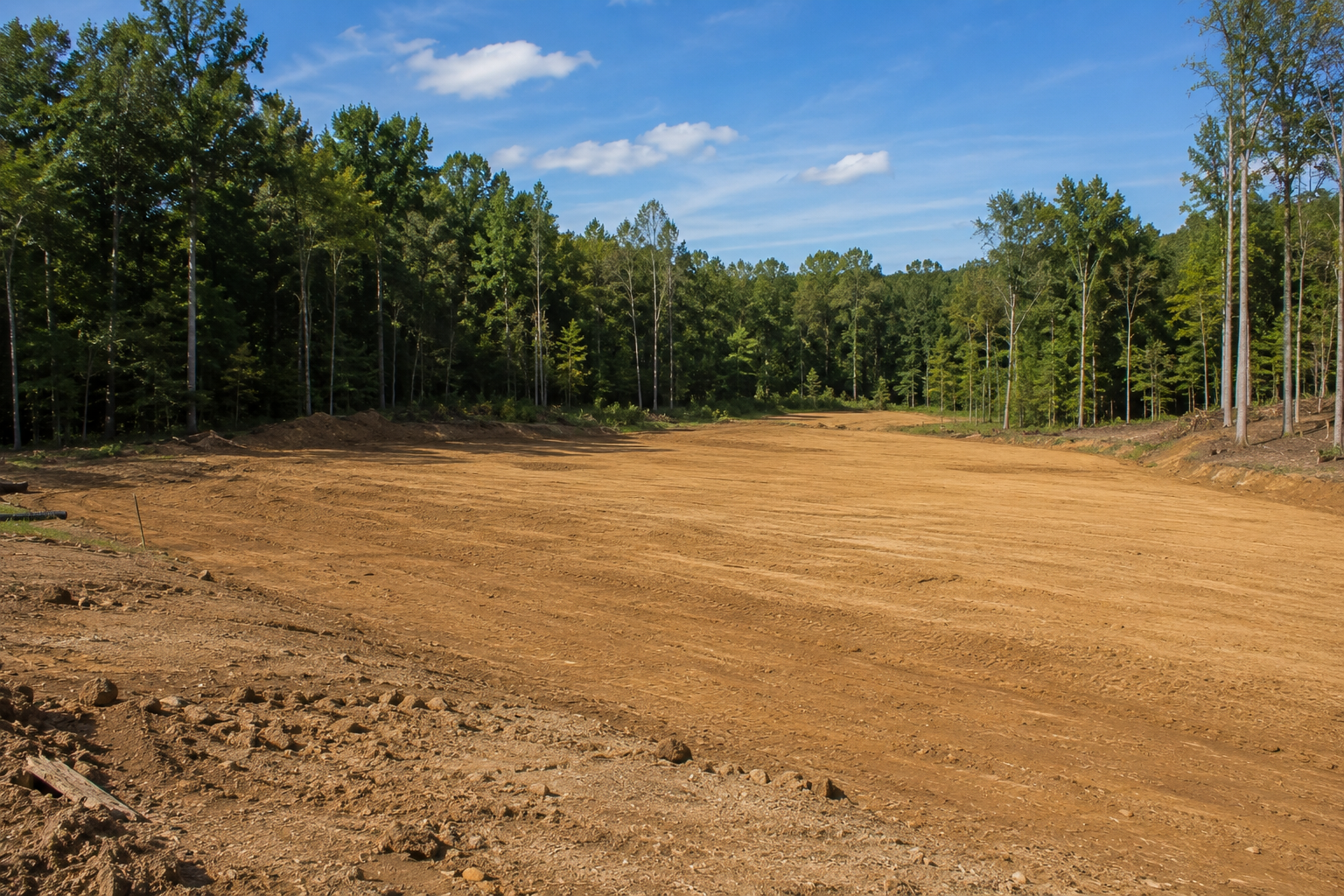 A cleared area of land surrounded by trees on a bright, sunny day with a clear blue sky.