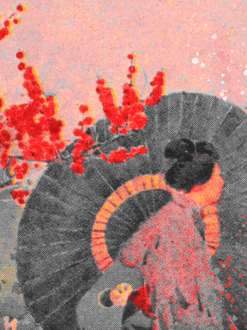 Blossoms_II.png