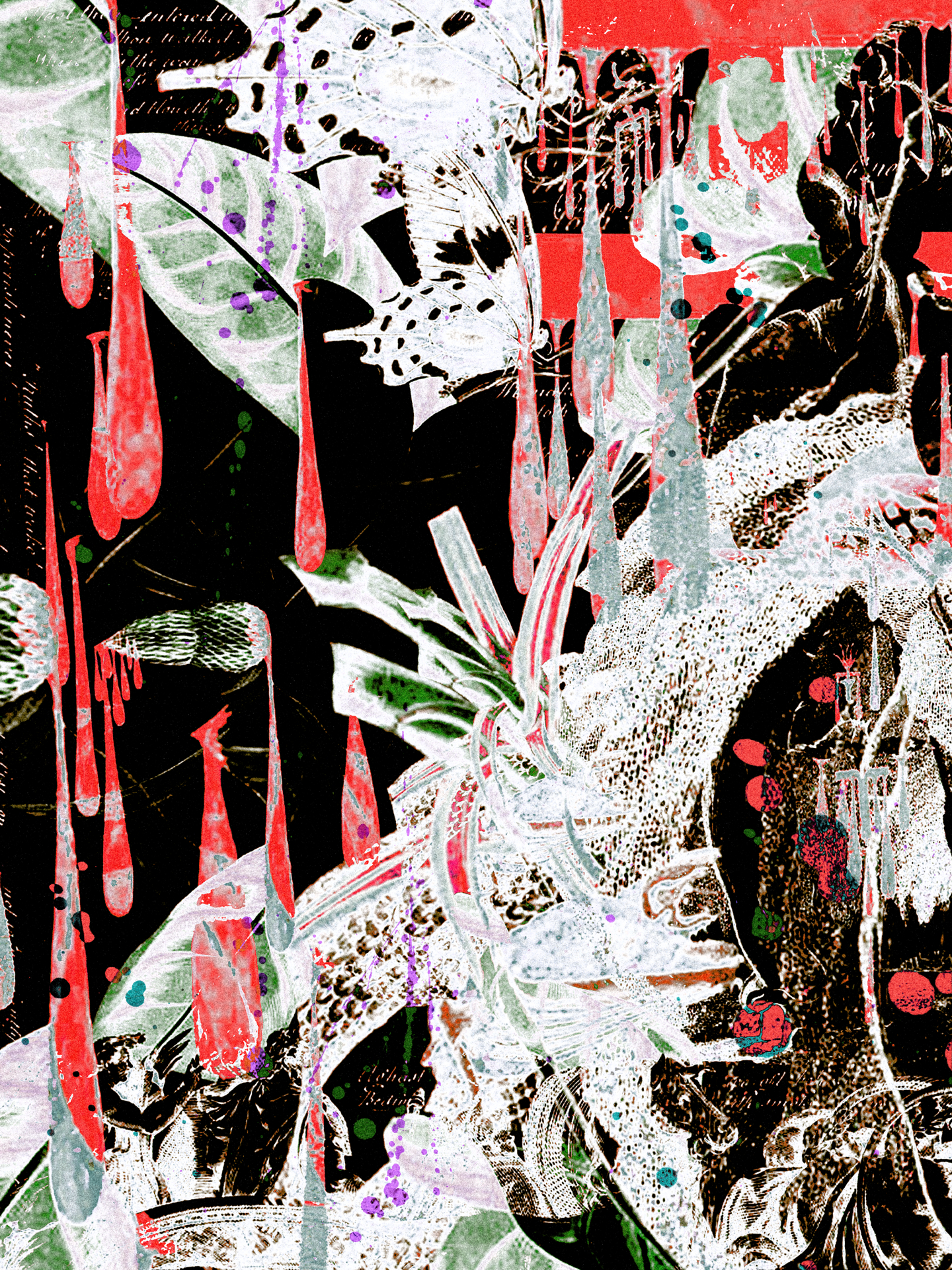 SANGRE - FINAL.png
