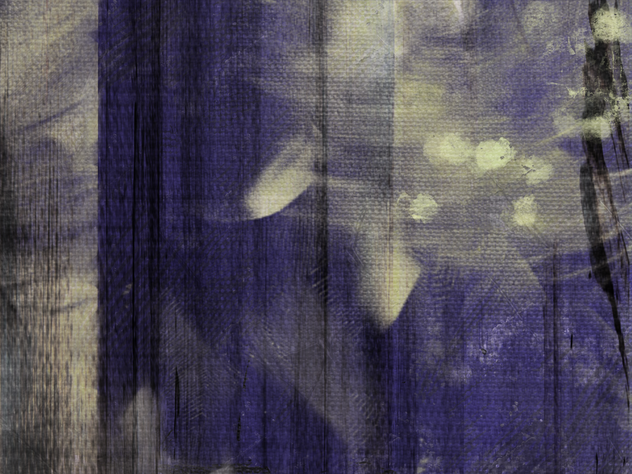 Curtains.png