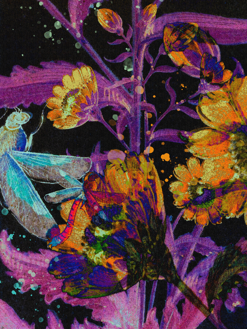 BOTANICAL.png