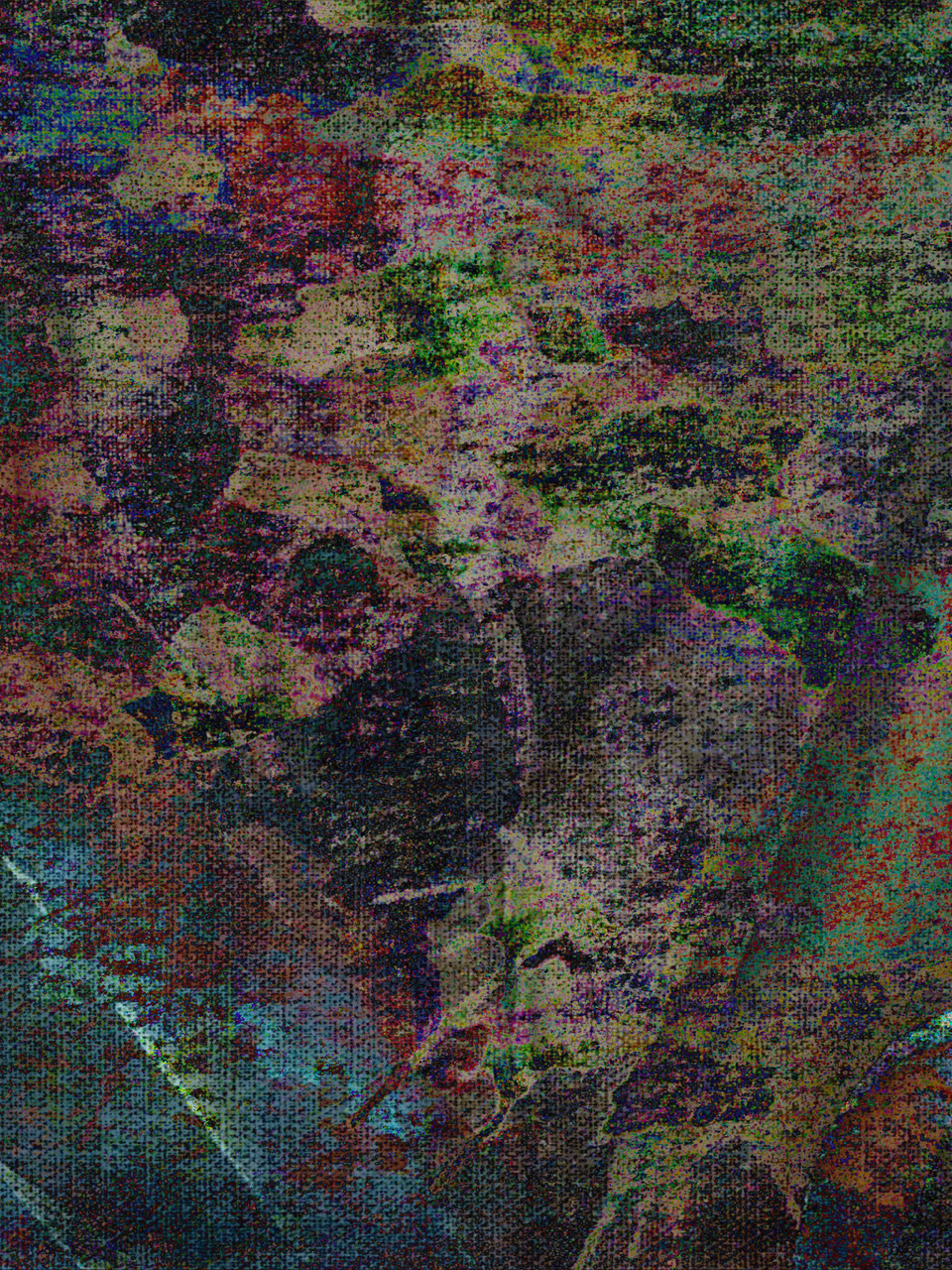 Algae.png