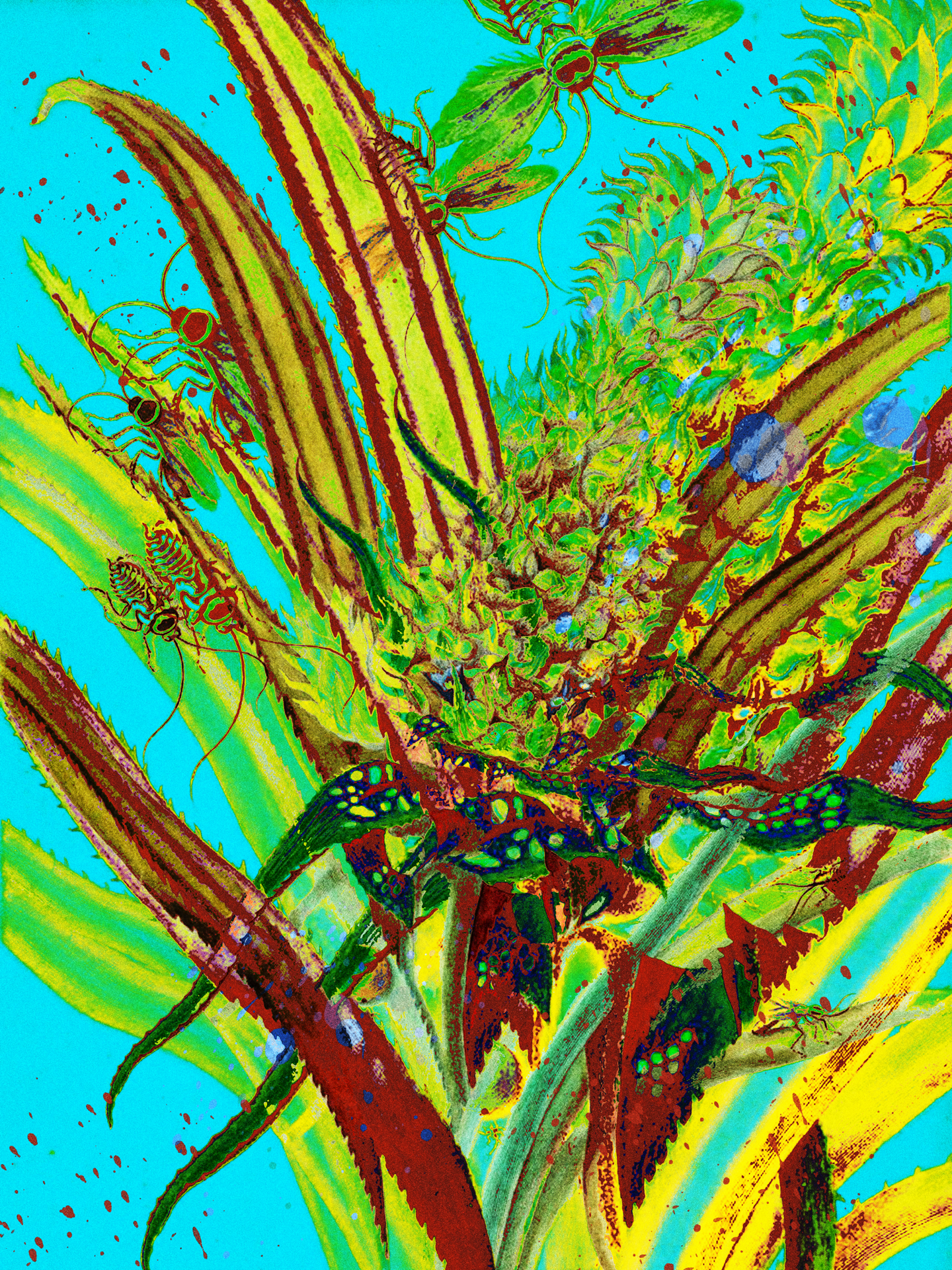 FLORAL - FINAL.png
