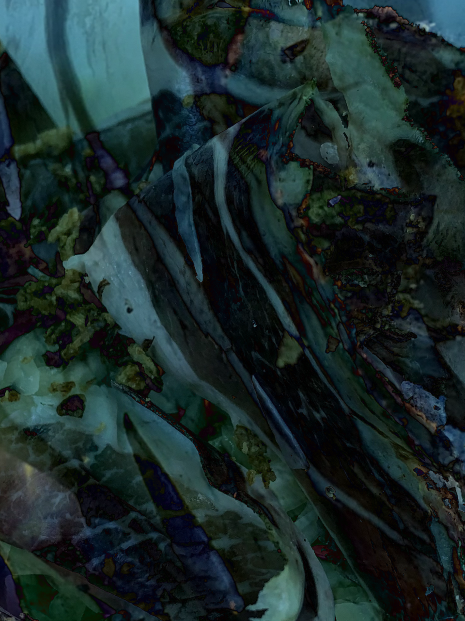 Moss.png