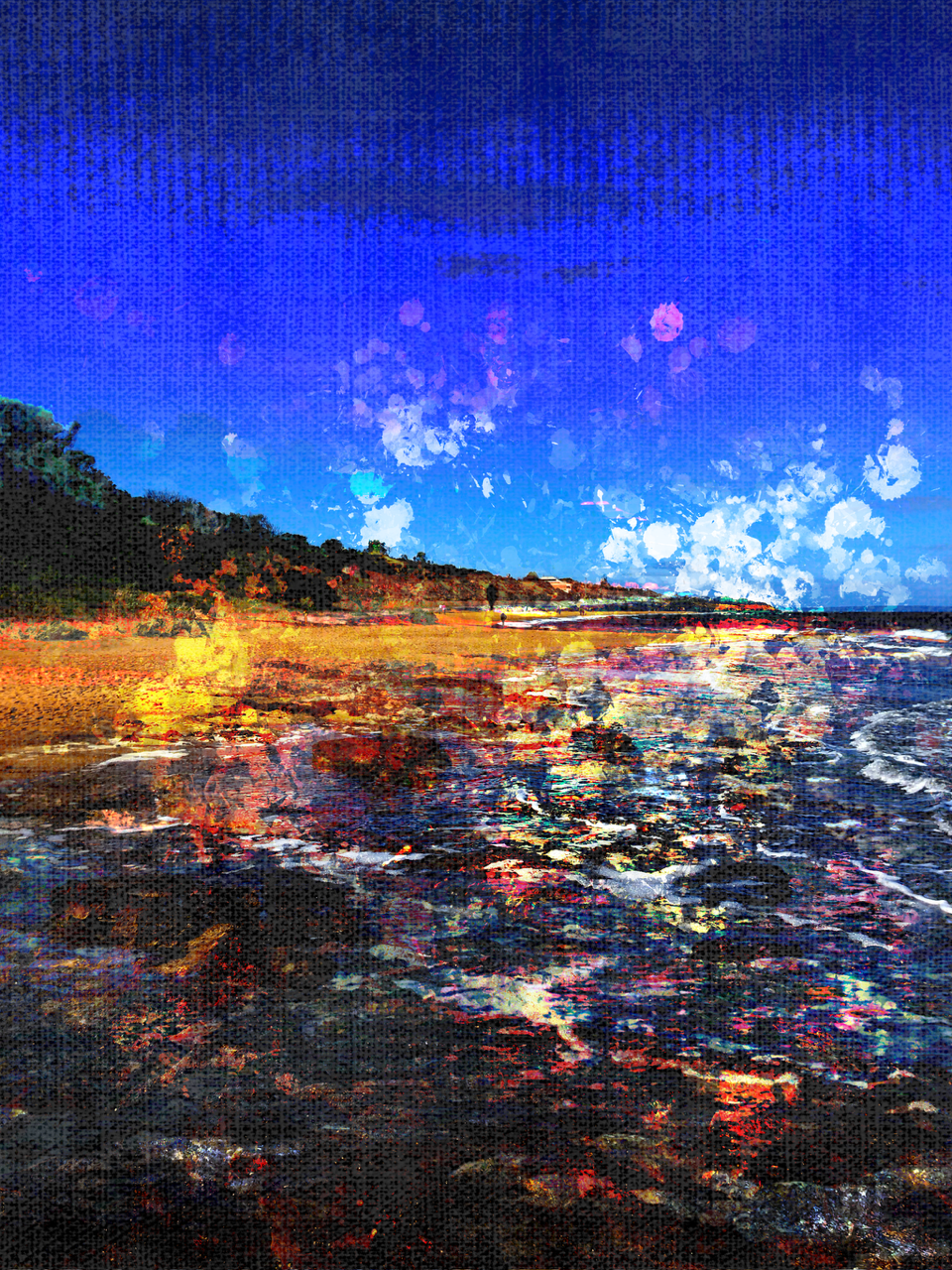 Sea_Shells.png