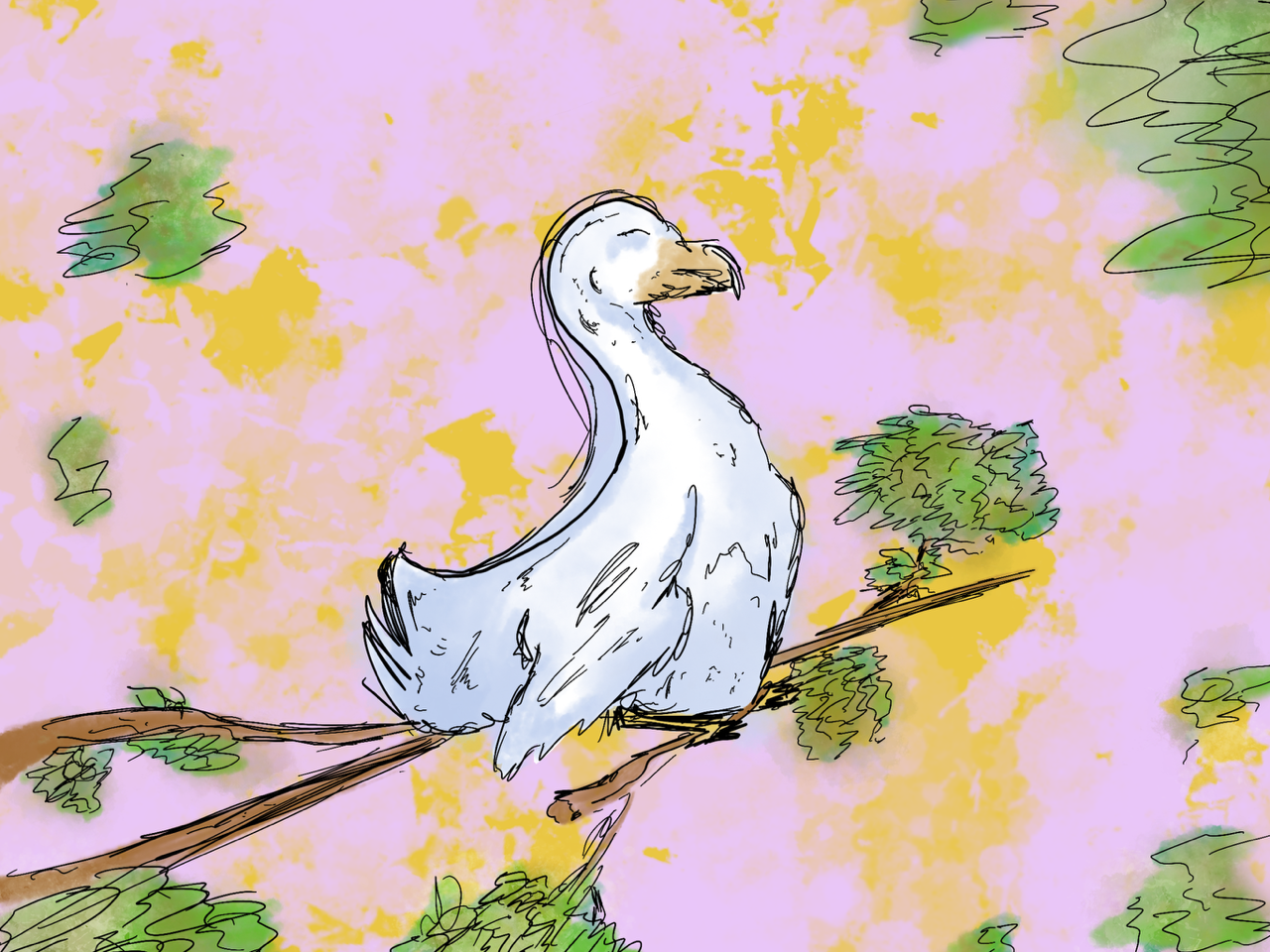 Perch.png