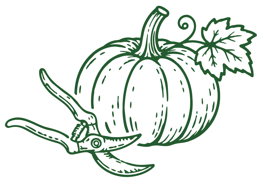 Line drawing of a pumpkin, a leaf, and pruning shears.