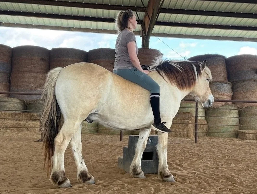 -Equine-Connected Therapy-


Slow down with Michaela alongside the herd and discover what horses can teach about trust, boundaries, consent, nervous system regulation, and authentic connection.