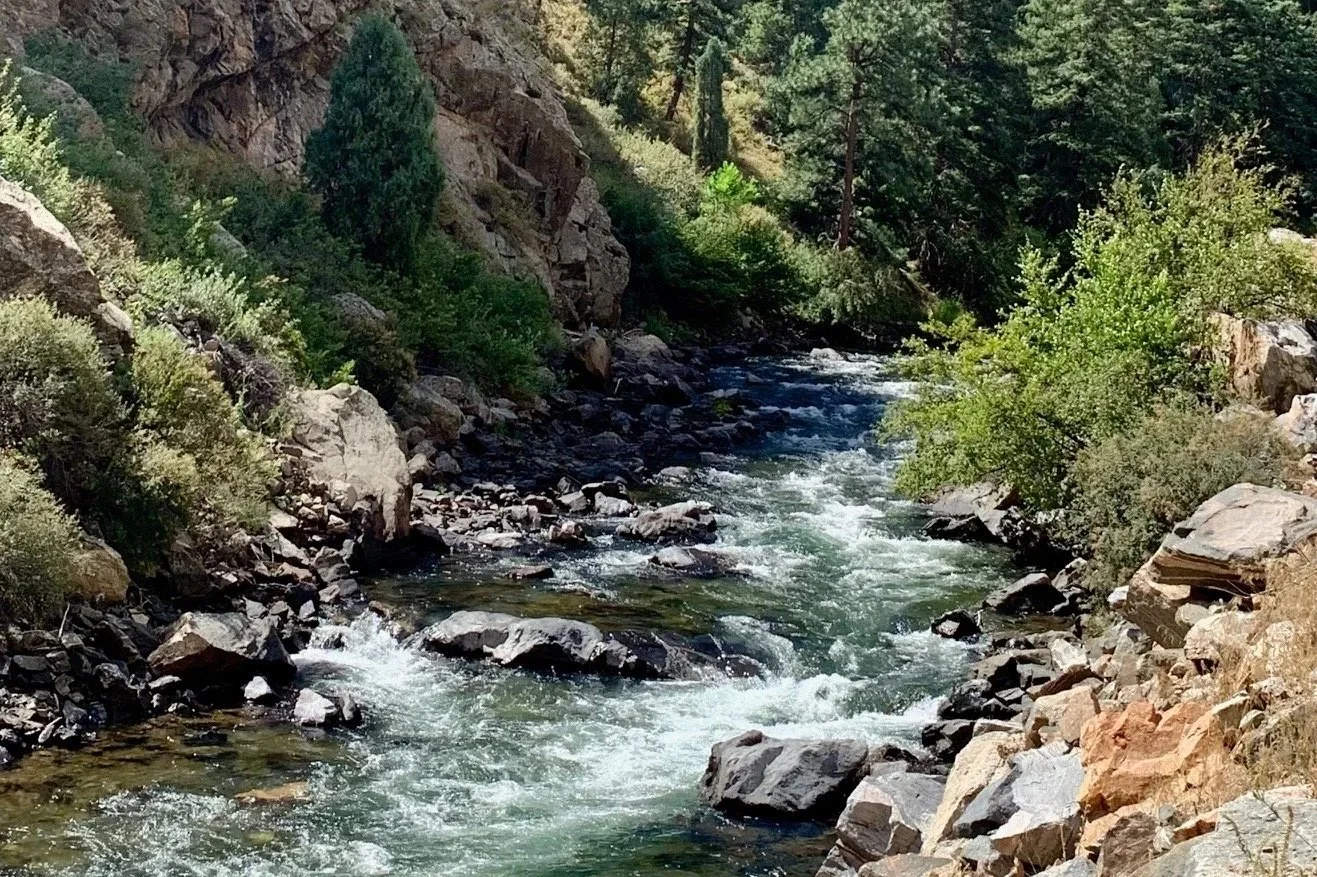 -Menstruality Coaching- Work with your cycle instead of against it. Learn to understand the wisdom of your hormonal rhythms and cultivate a deeper relationship with your body's natural seasons. 