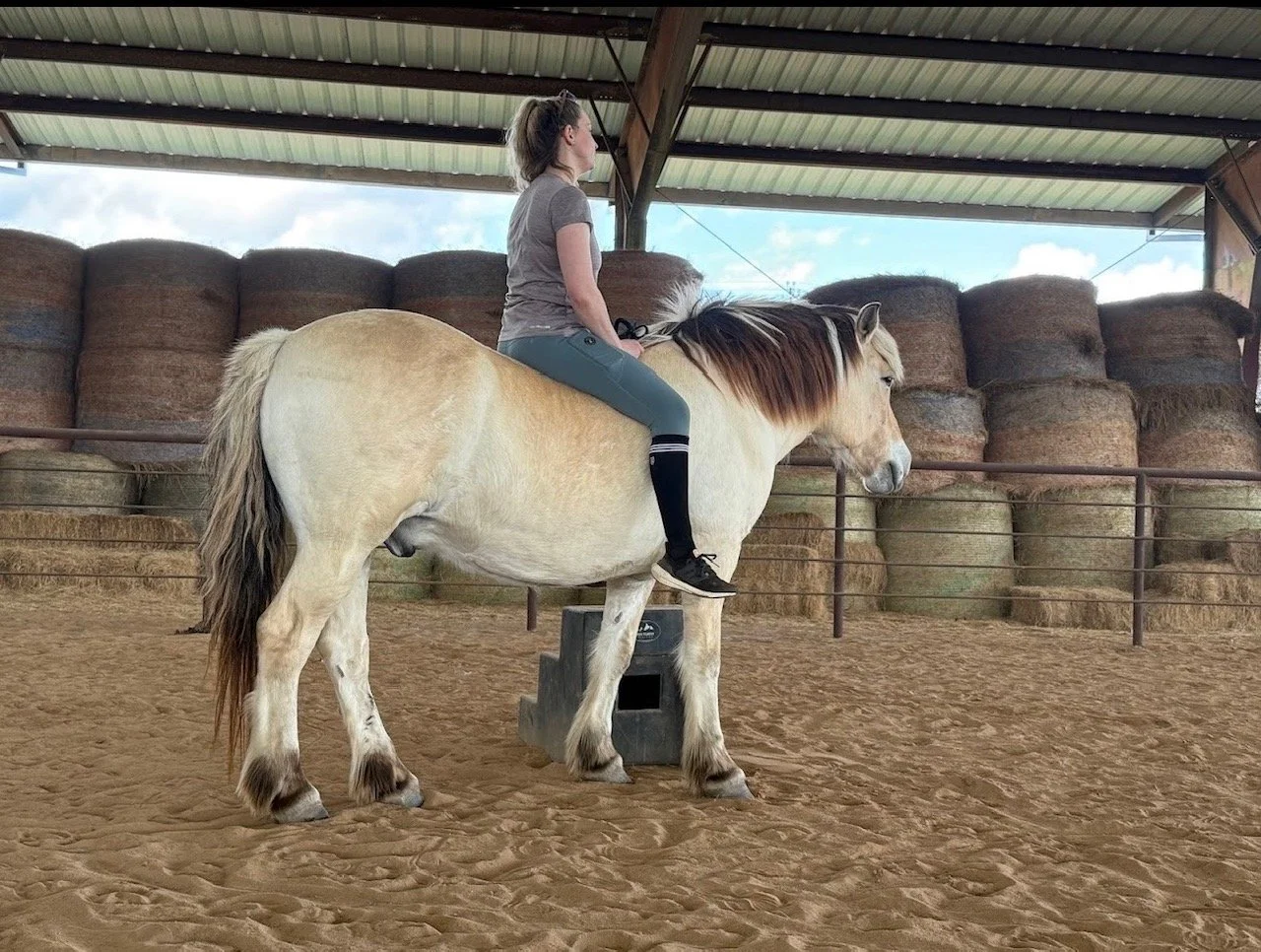 What Looks Risky Isn't Always Unsafe: What My Horse Taught Me About Trauma, Trust, and Nervous System Healing