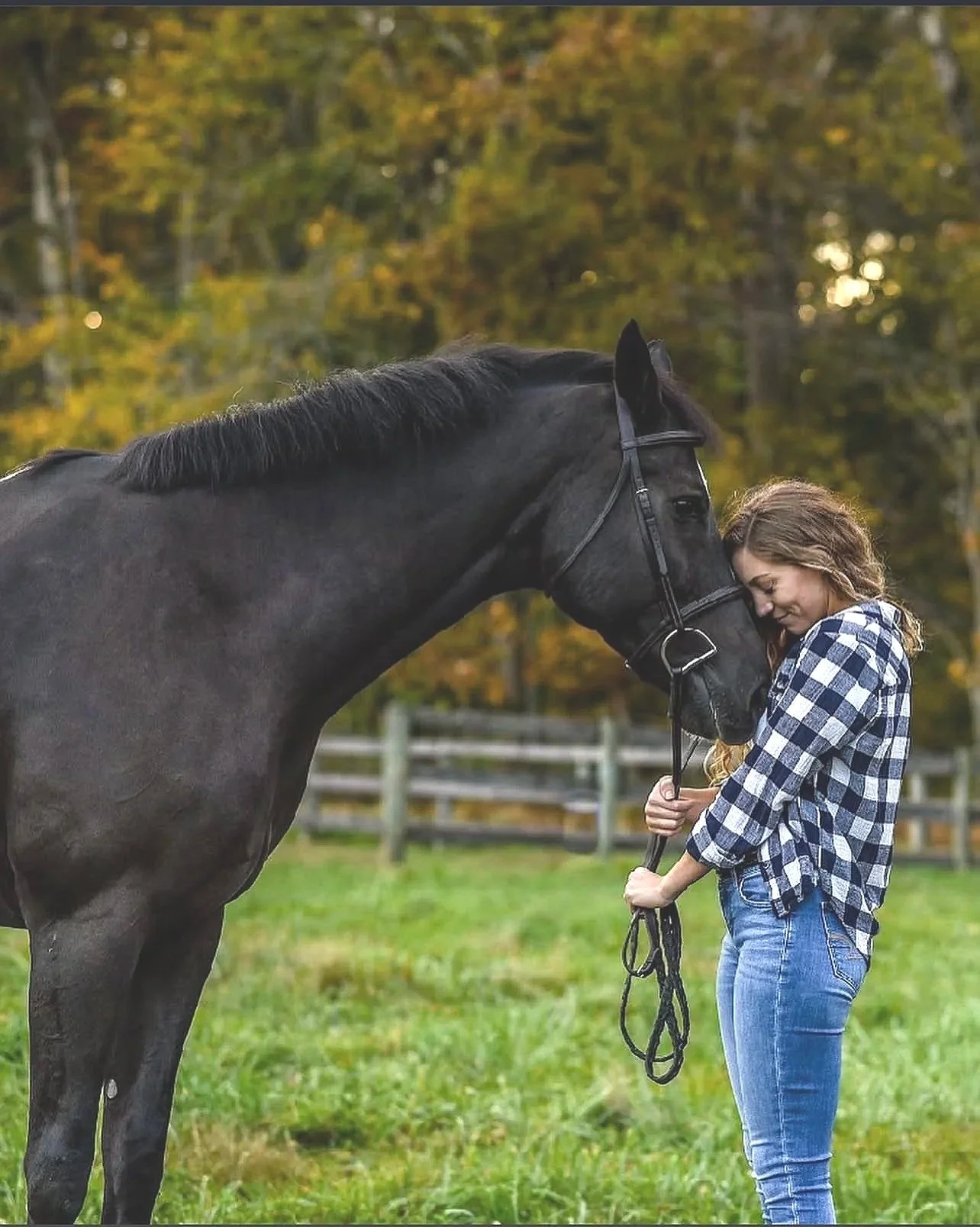Trauma therapist Michaela Uttley connecting with her horse during an equine-connected psychotherapy session. A Place Along the Way specializes in EMDR intensives, trauma therapy, attachment healing, and nervous system regulation in Colorado.