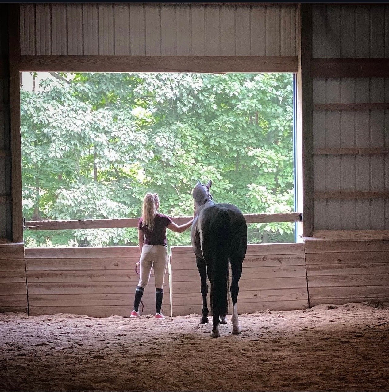 Therapist standing beside her horse Nora, looking out a window toward the trees, reflecting the calm connection central to equine-assisted trauma healing.