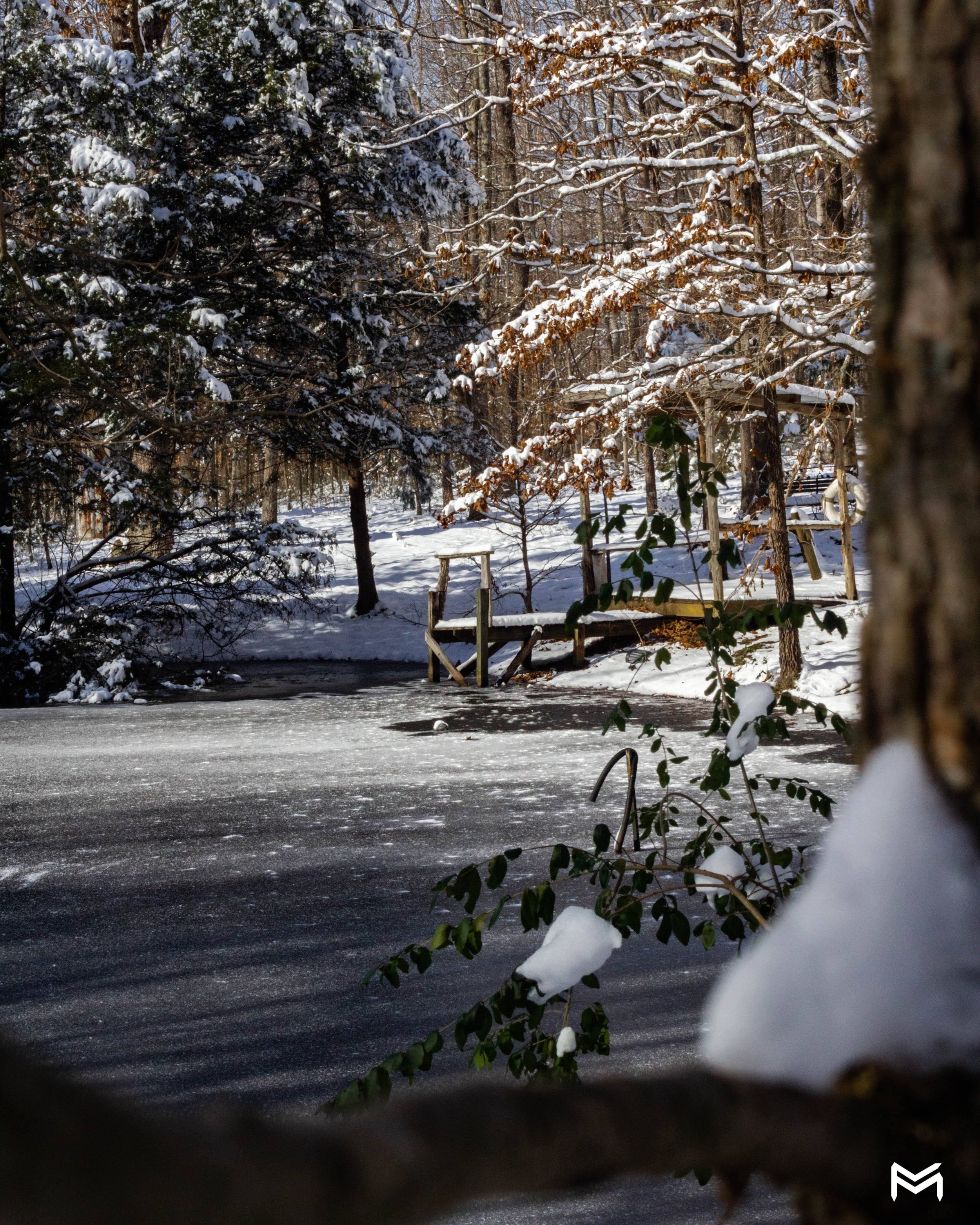 _MG_6806.jpg