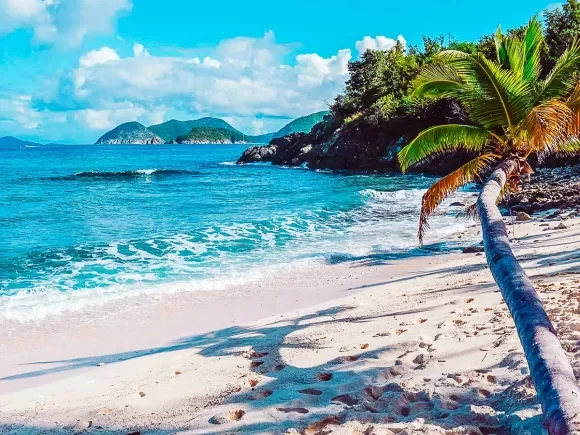 Tropical beach with white sand, a leaning palm tree, turquoise water, and a distant mountainous island under a partly cloudy sky.