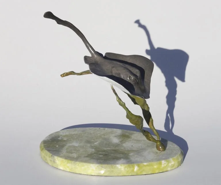 A bronze sculpture of a single stingray on a circular stone base, casting a shadow on a white background, hence the name "Shadow Dancer" by Judy Salinsky