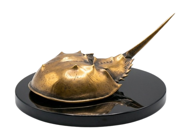 A bronze metallic sculpture of a horseshoe crab with a pointed spire, resting on a round black base.