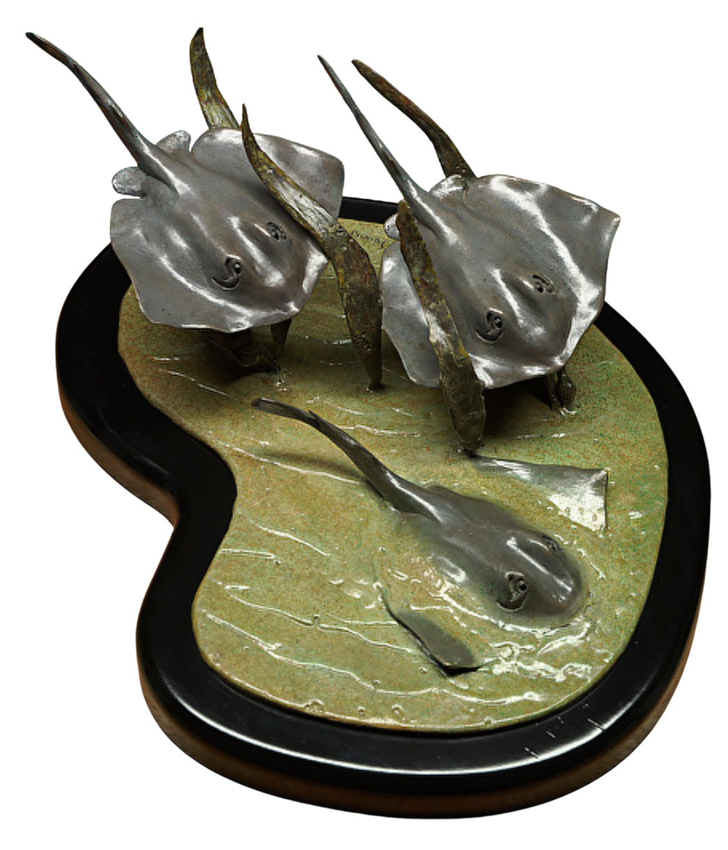 Sting Rays