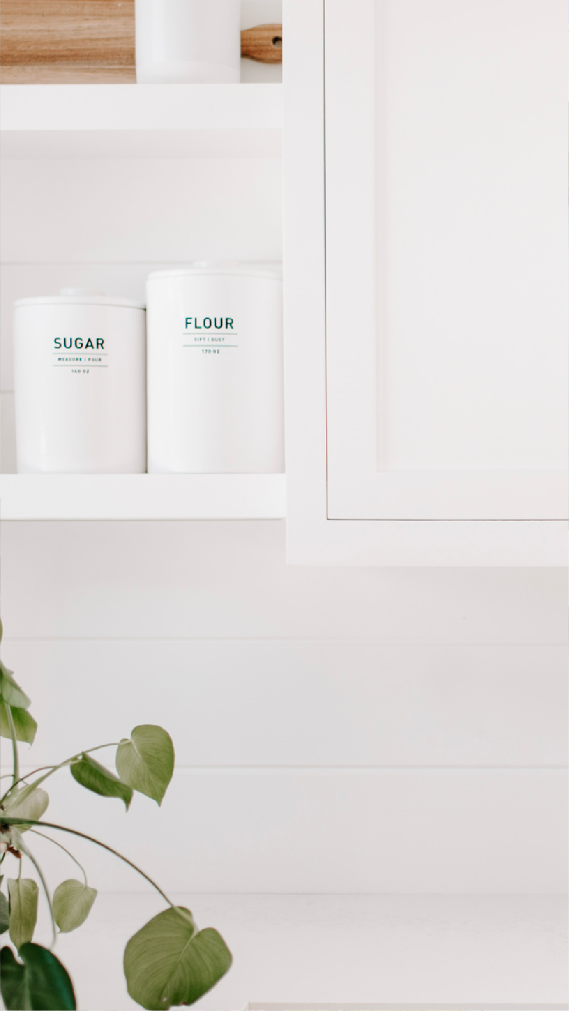 Kitchen cabinet with white flour and sugar containers, and a plant with green leaves in the foreground.