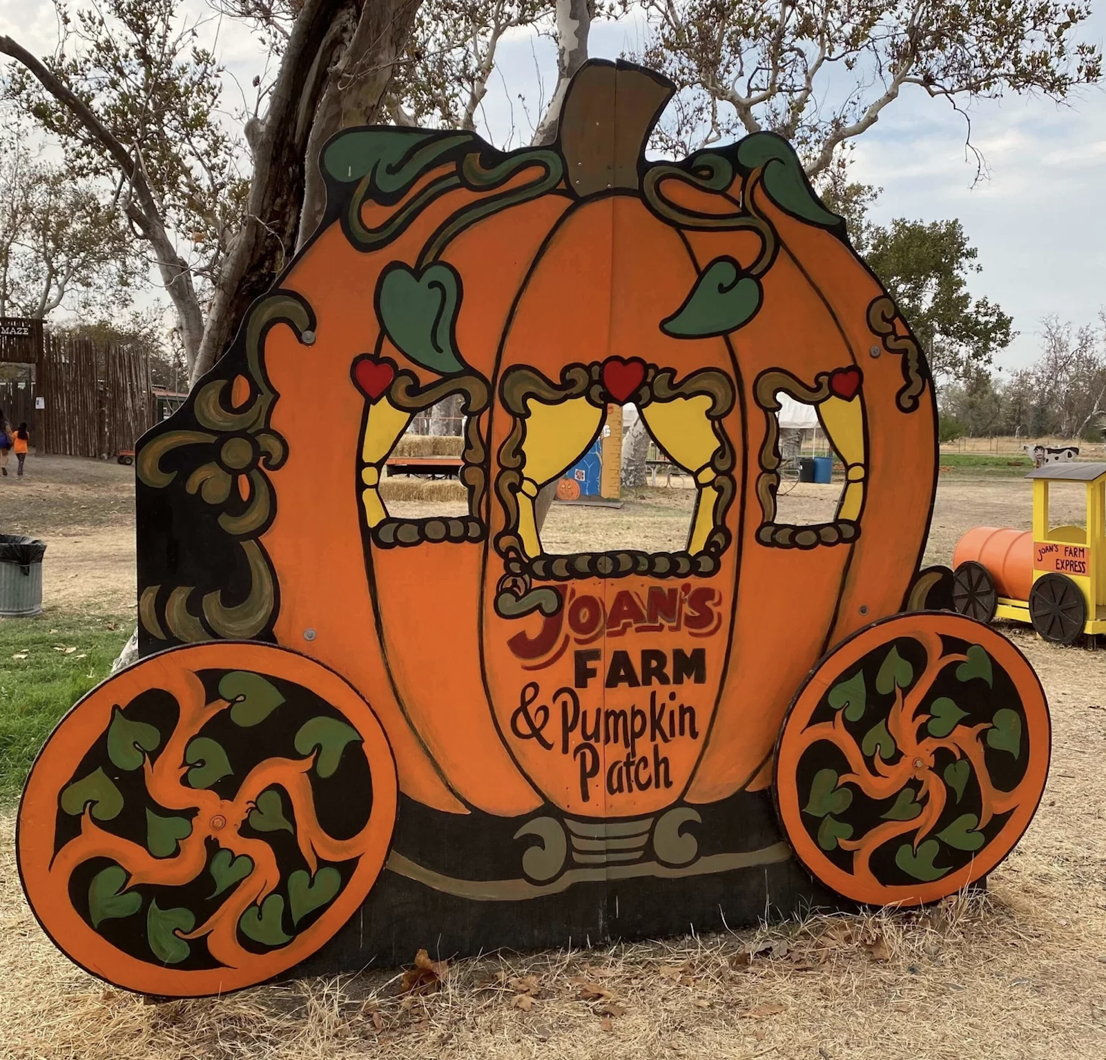 Joans farm and pumpkin patch in livermore