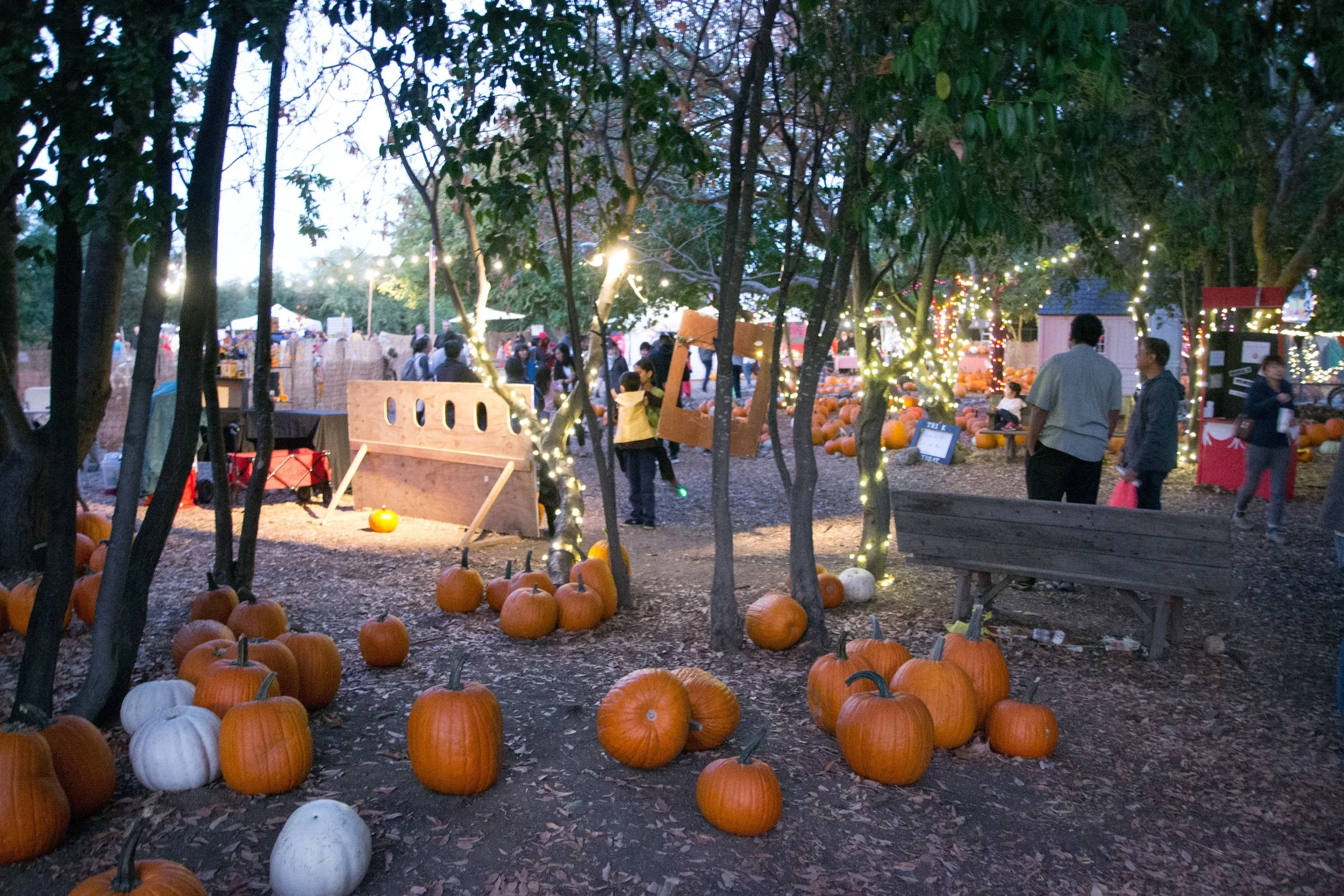 moreland pumpkin patch in San Jose, california