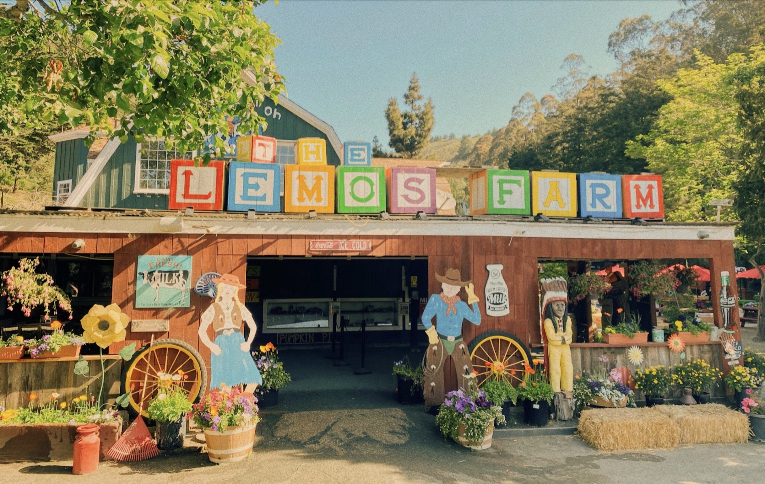 lemos farm in half moon bay, california