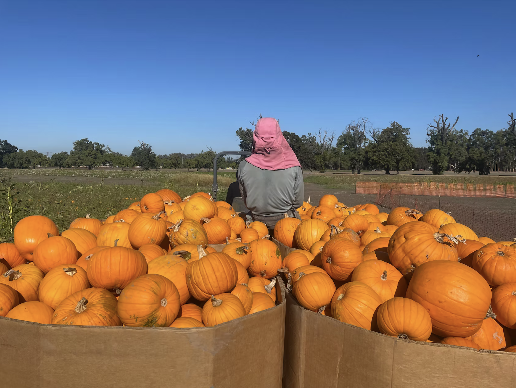Ardenwood Historic Farm, Fremont, CA