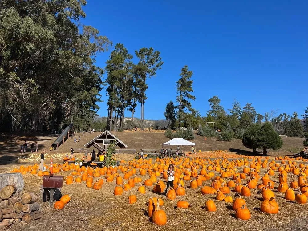 rancho siempre verde in pescadero, california