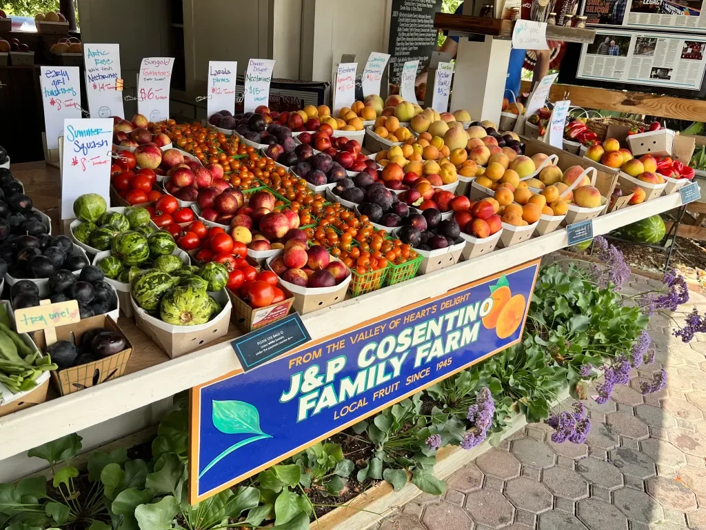 J&P Cosentino Family Farm stand with fresh fruit and pumpkins