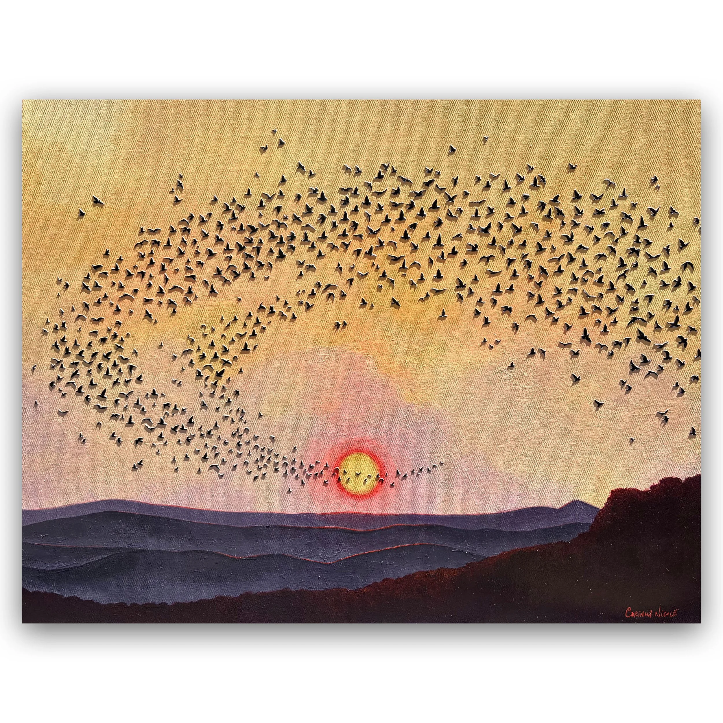 of light and flight_original.jpg