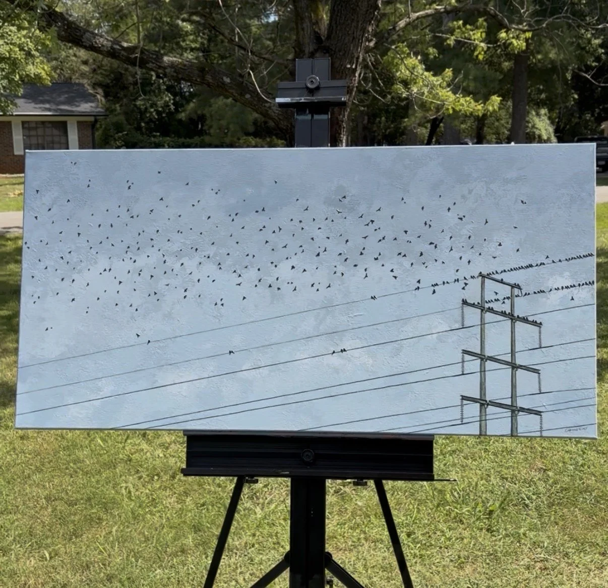 pldetail1.jpg
