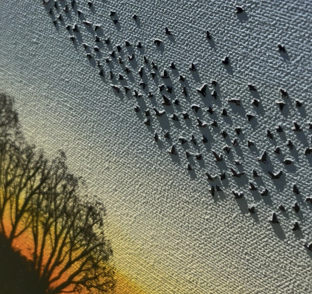 UW_detail2.jpg